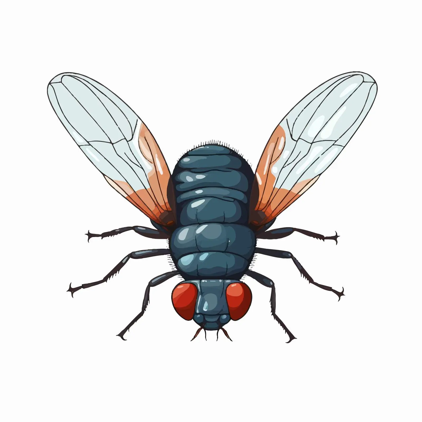Cartoon Fly Vector Illustration on White Background — free download from Dotvec
