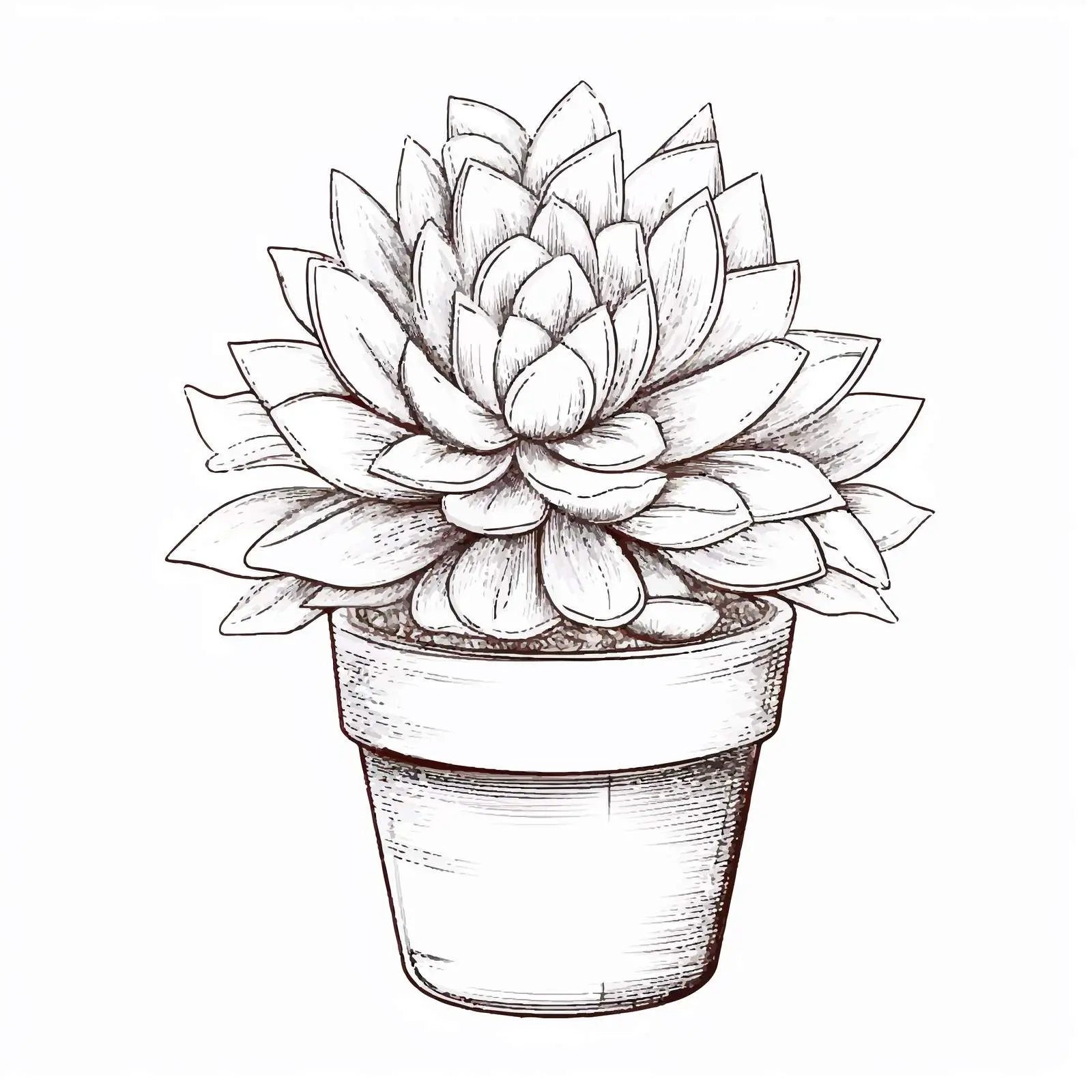 Hand-Drawn Green Succulent Flyer Template — free download from Dotvec