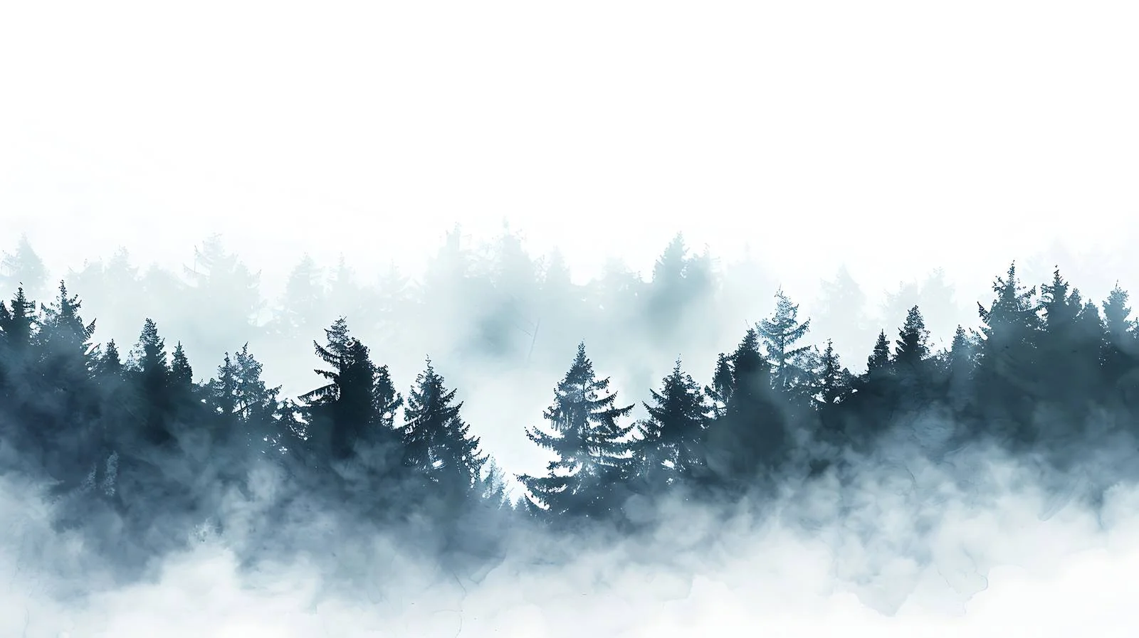 Serene Forest Morning in Misty Haze — free download from Dotvec