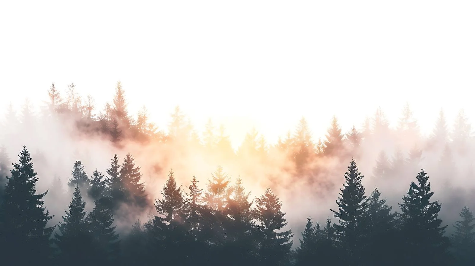 Majestic Forest Dawn on White Background — free download from Dotvec