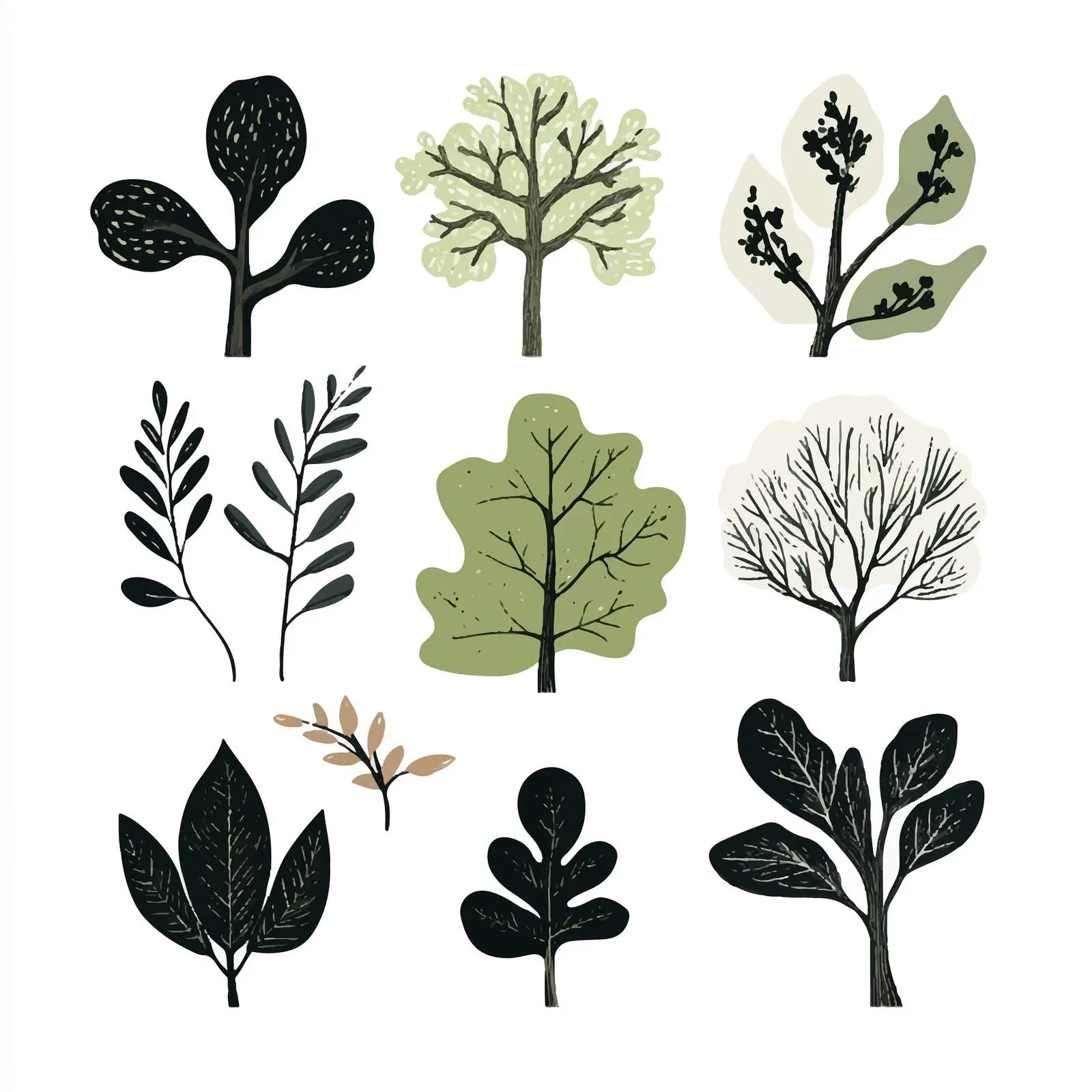 Deciduous Forest Trees Botanical Vector Collection – free deciduous image from Dotvec