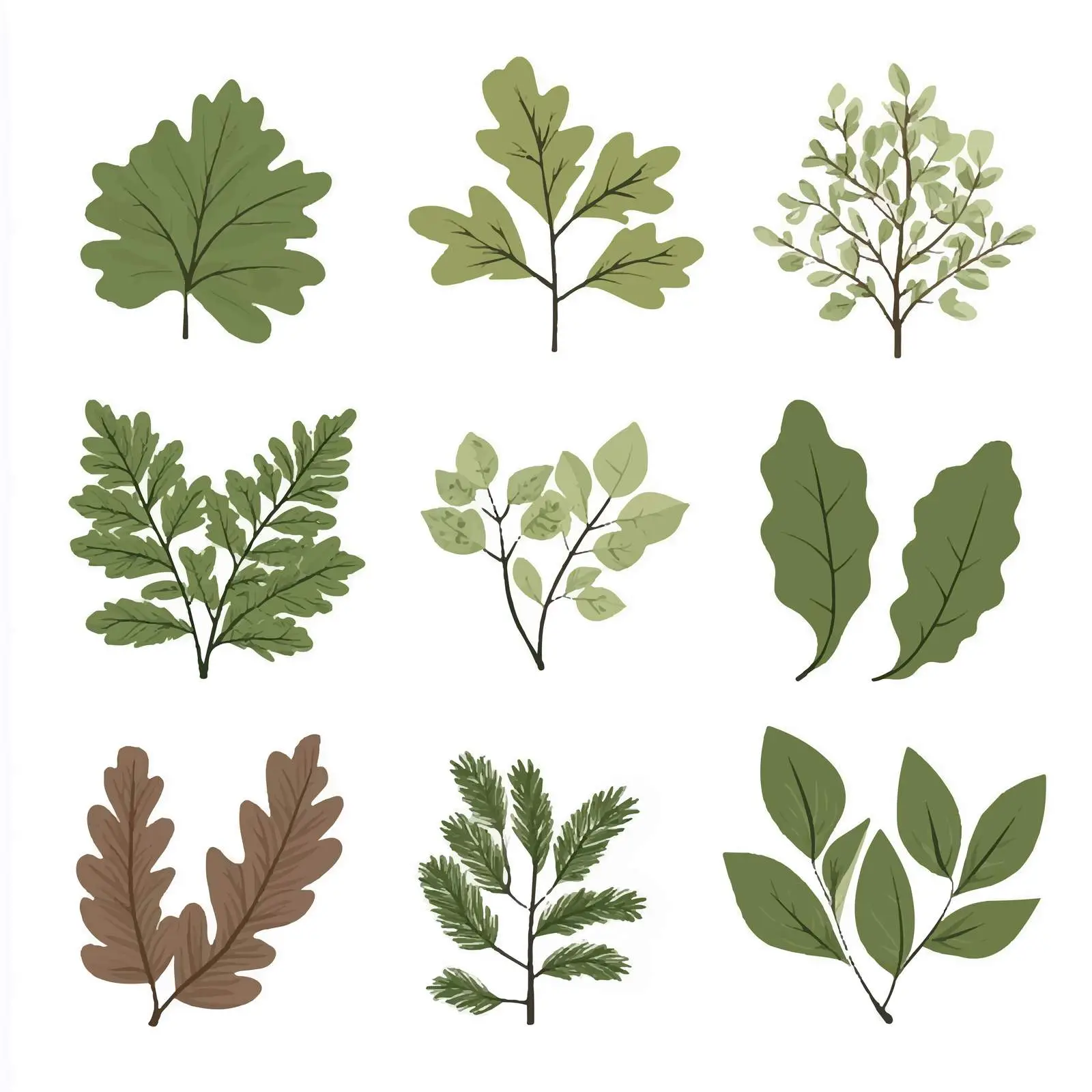 Deciduous Forest Tree Vector Collection — free download from Dotvec