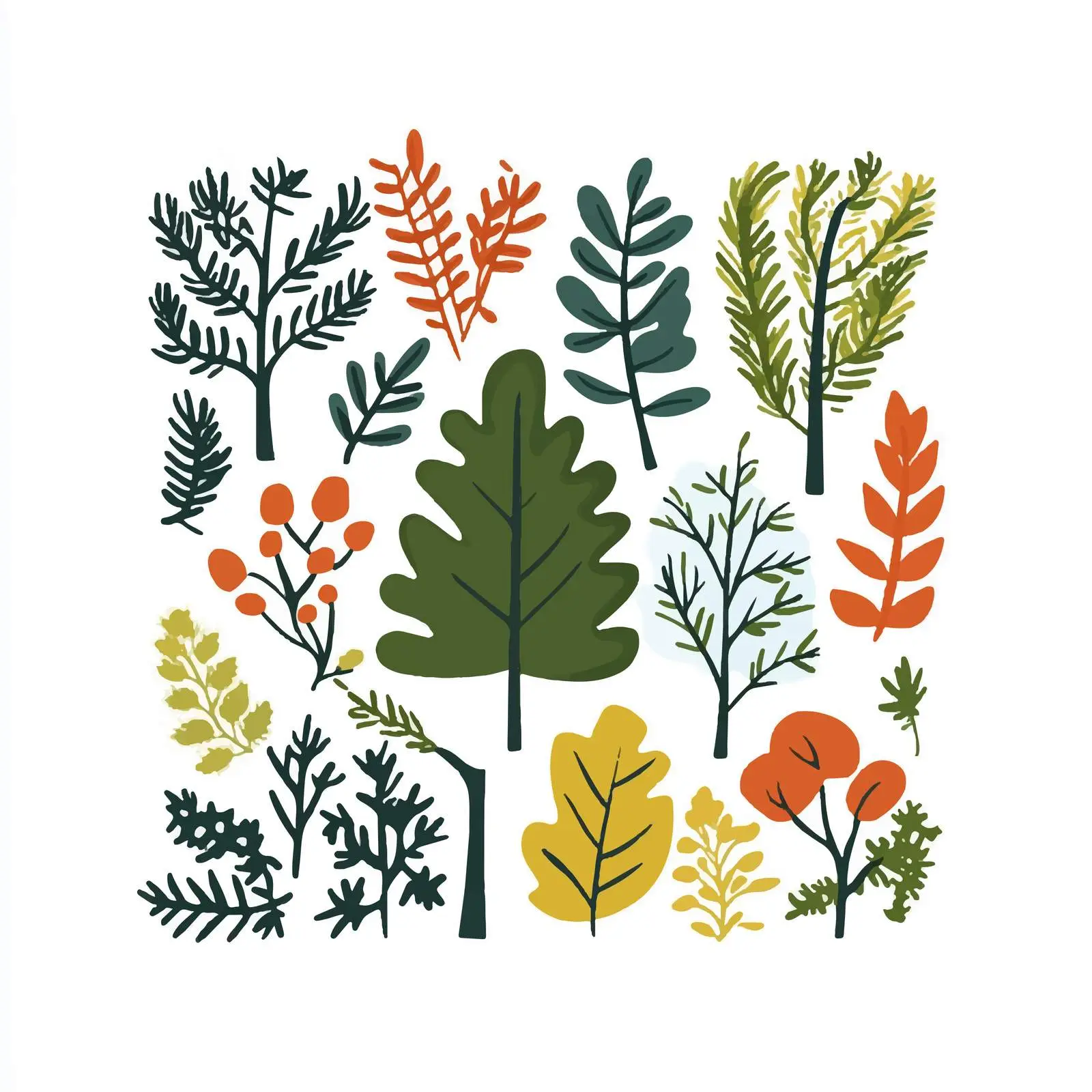 Deciduous Trees Botanical Vector Collection – free deciduous image from Dotvec