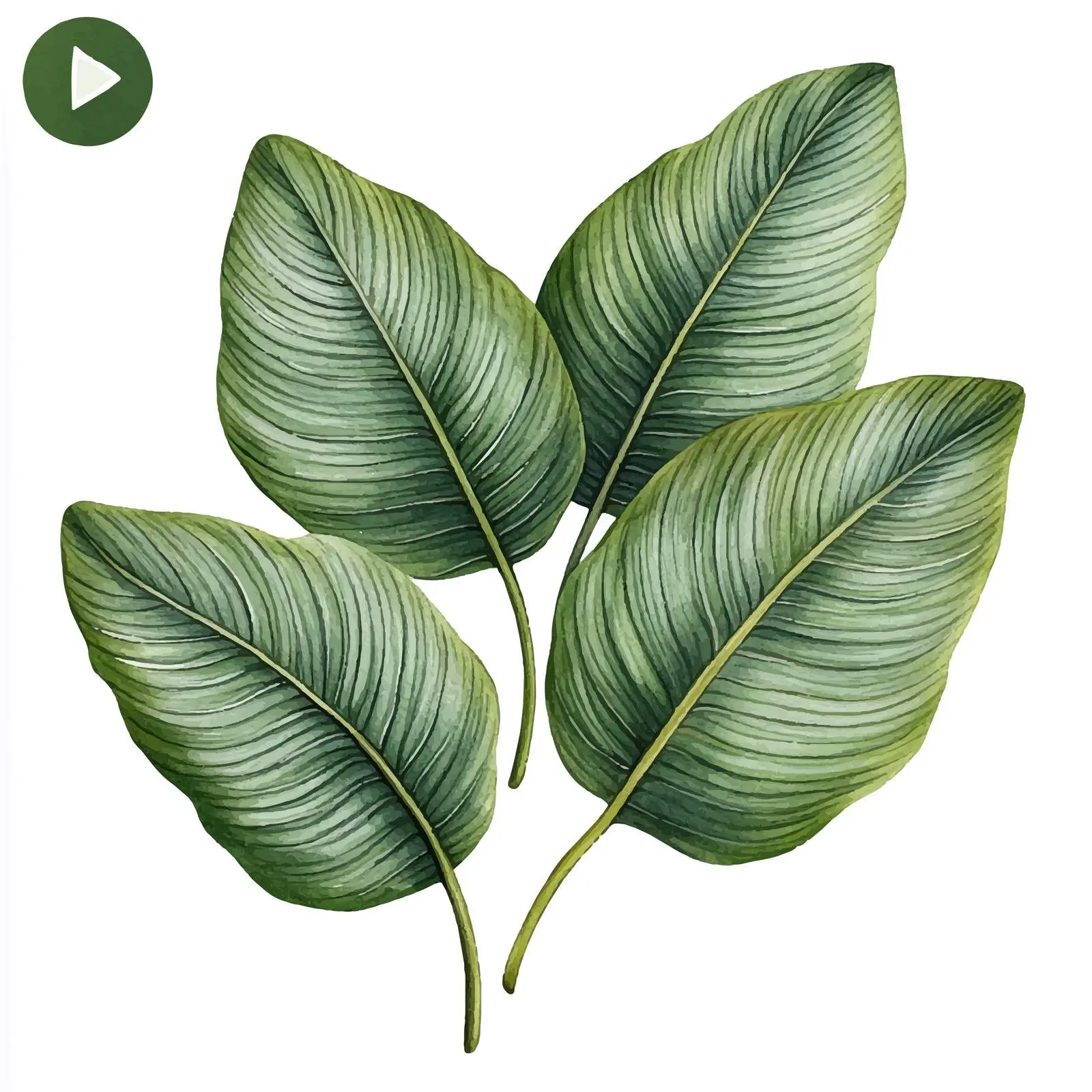 Hand-Drawn Tropical Leaves Illustration — free download from Dotvec