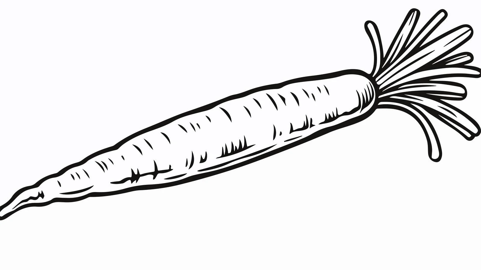 Cartoon Carrot Sketch — free download from Dotvec