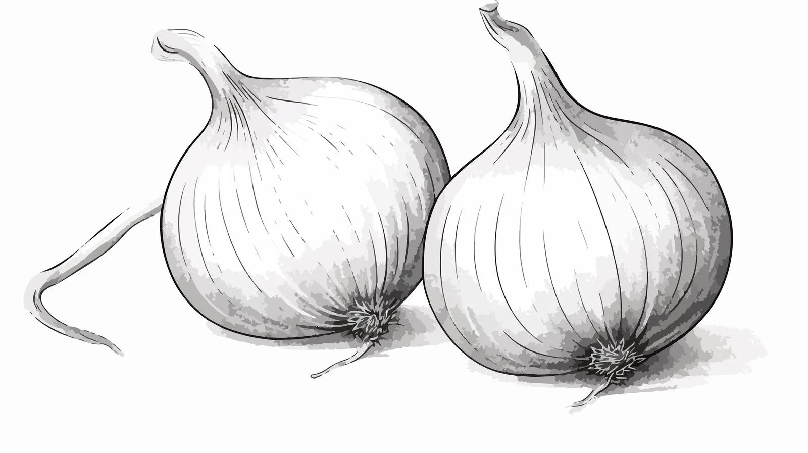 Whimsical Cartoon Onion Illustration — free download from Dotvec