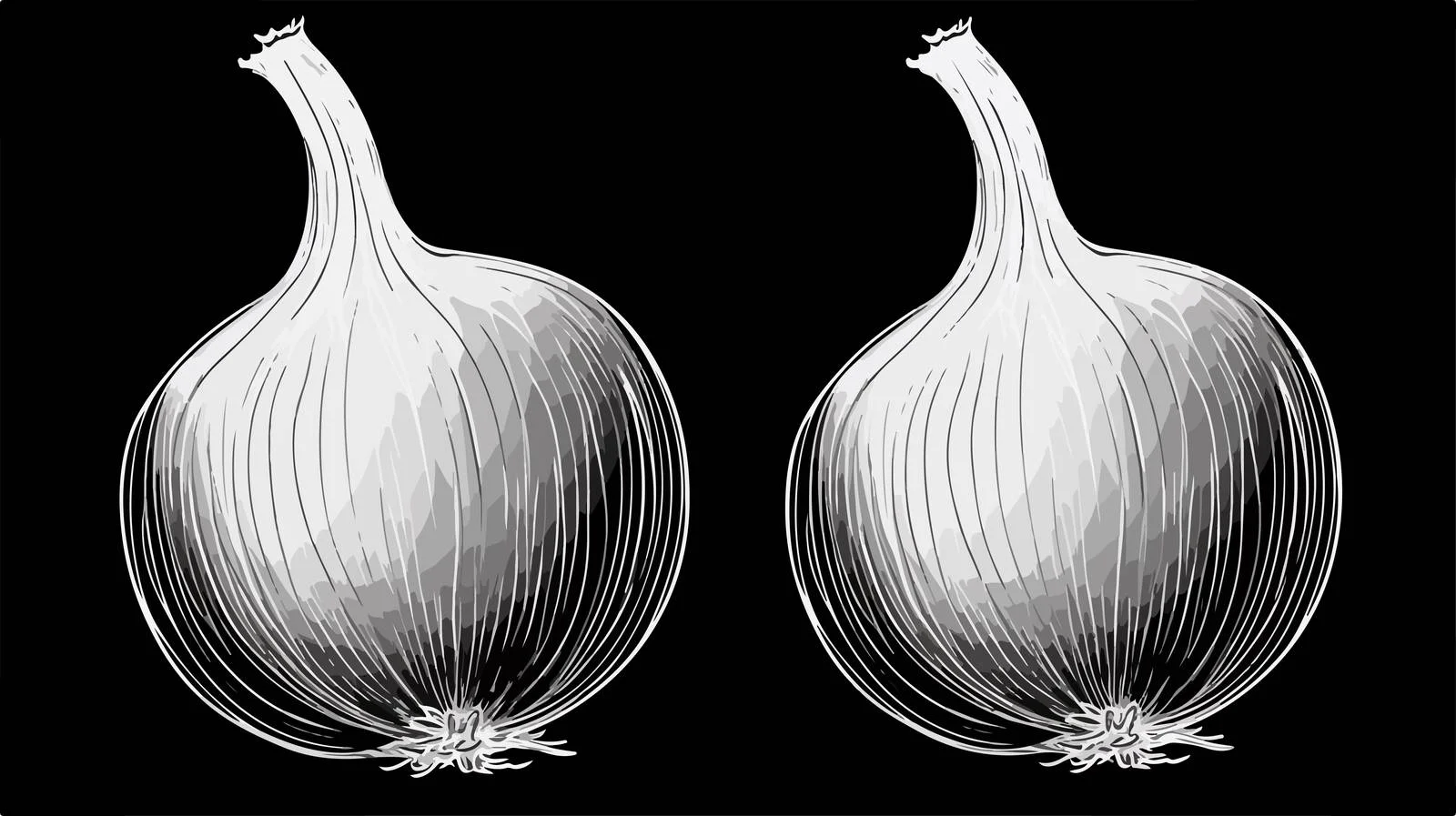Cartoon Onion Illustration — free download from Dotvec