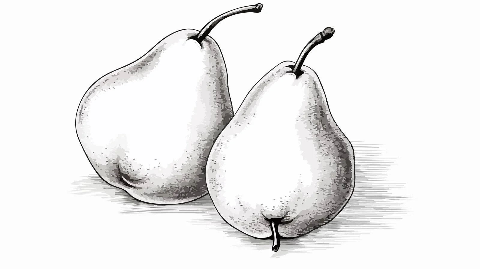 Cartoon Style Hand-Drawn Pears — free download from Dotvec