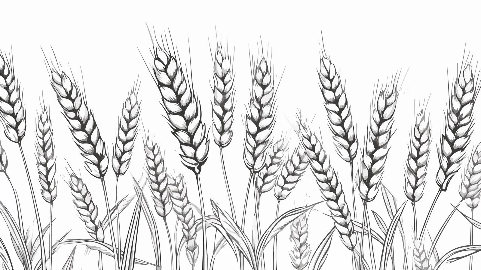 Whimsical Wheat Cartoon Illustration — free download from Dotvec