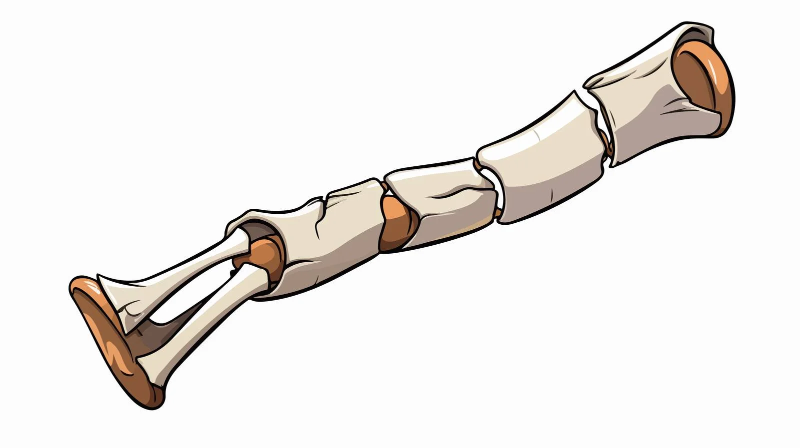 Cartoon Broken Bone Illustration — free download from Dotvec