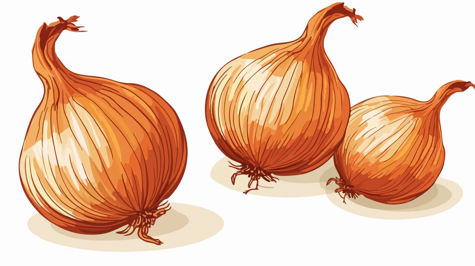 Cartoon Onion Stock Vector Illustration — free download from Dotvec
