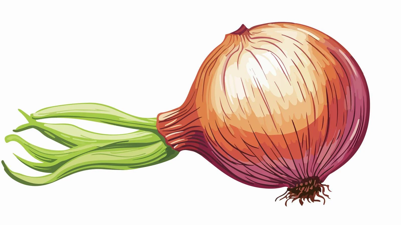 Whimsical Onion Cartoon Illustration — free download from Dotvec