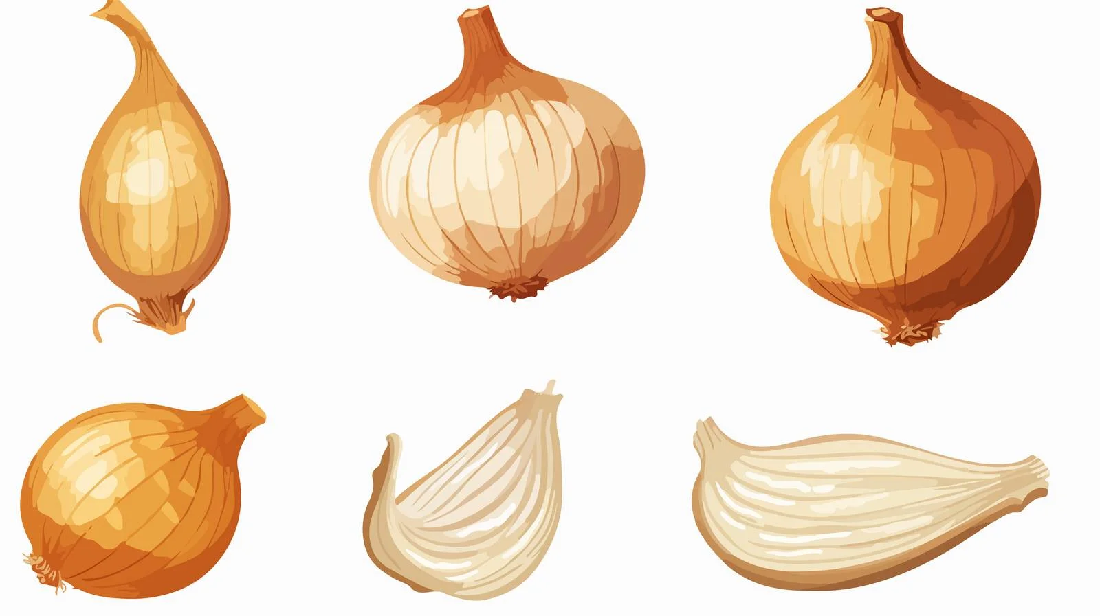 Cartoon Onion Stock Vector Illustration — free download from Dotvec