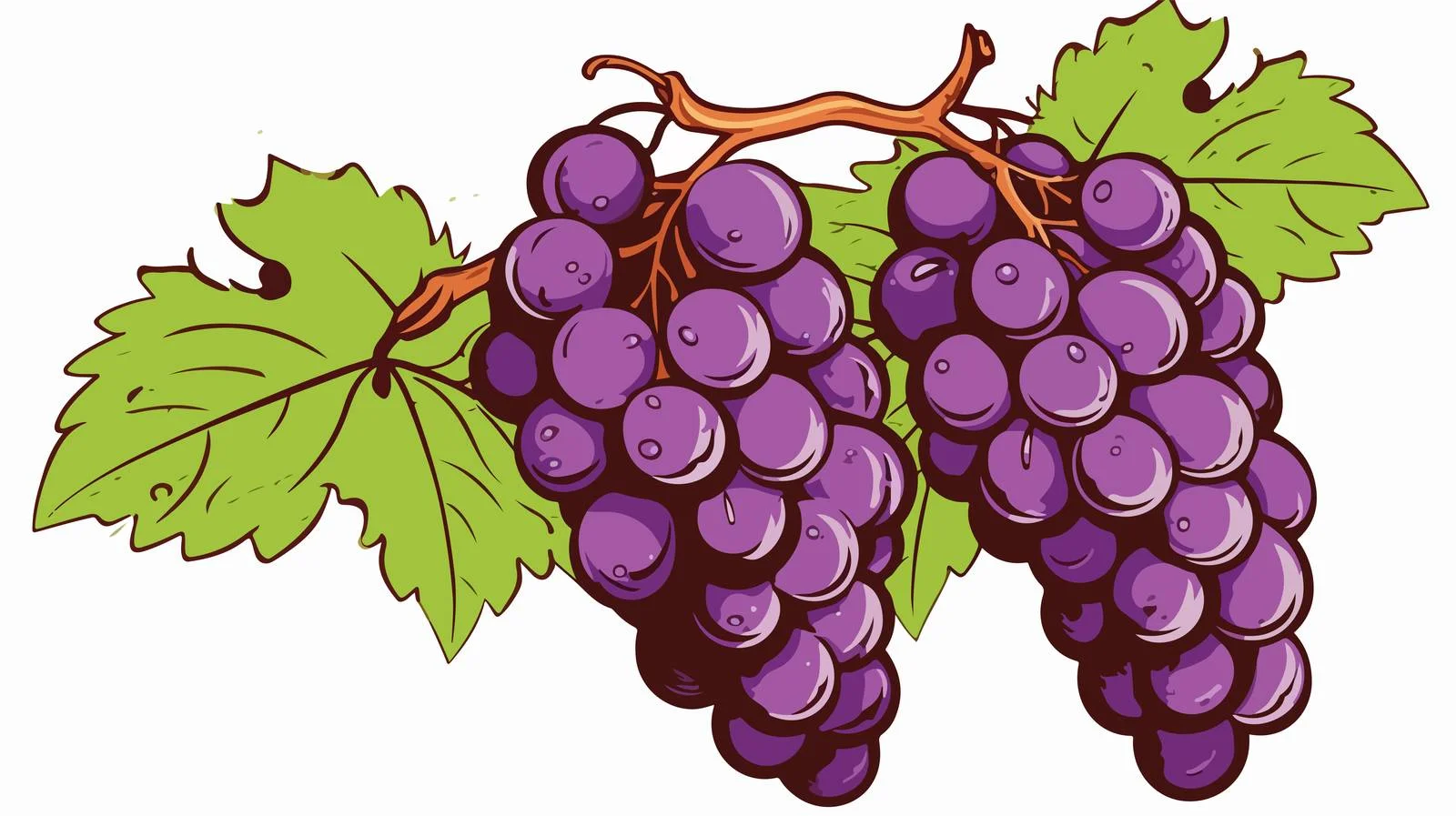 Vintage Grapes Stock Illustration — free download from Dotvec
