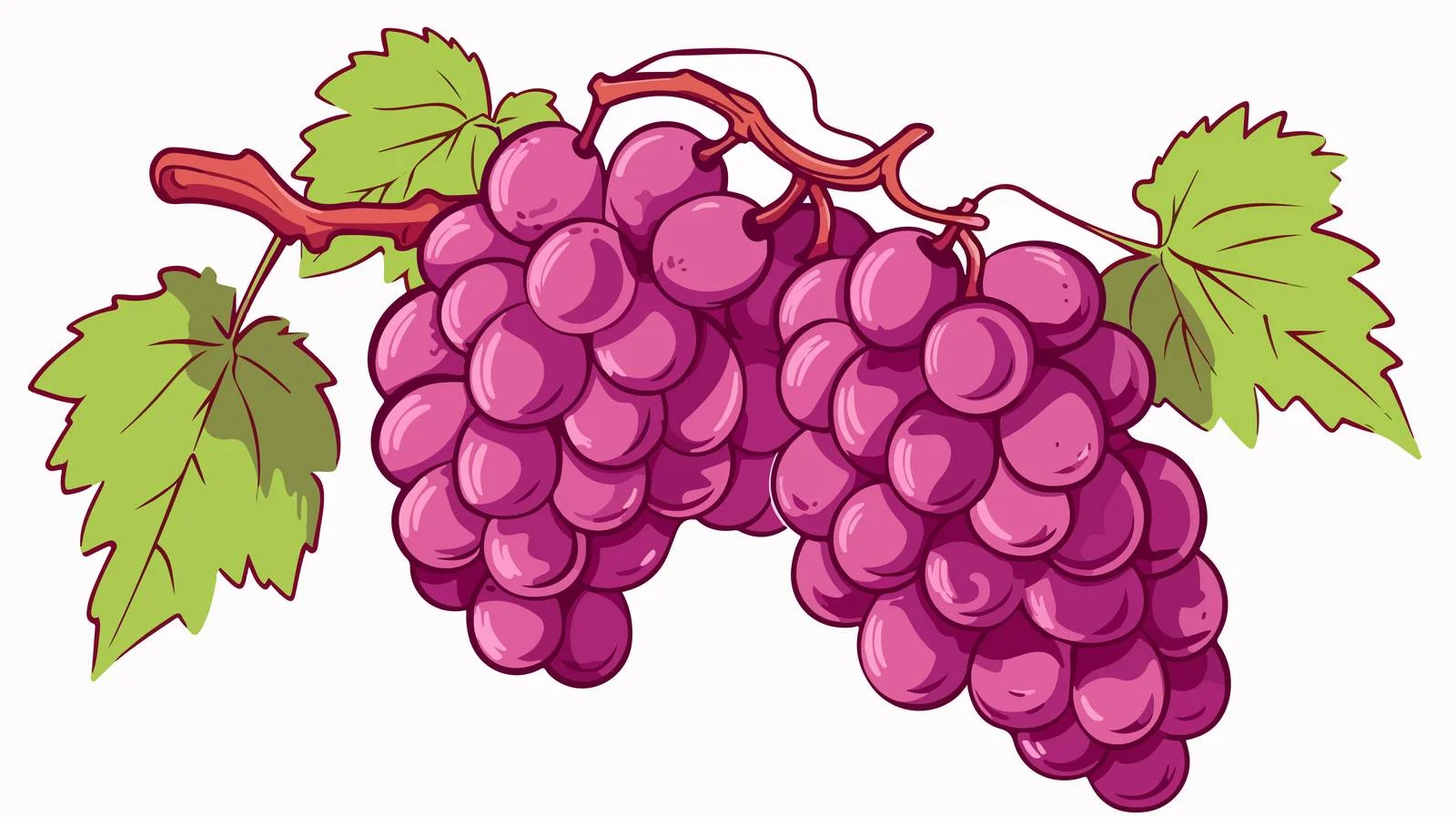 Vintage Cartoon Grapes Vector Illustration — free download from Dotvec