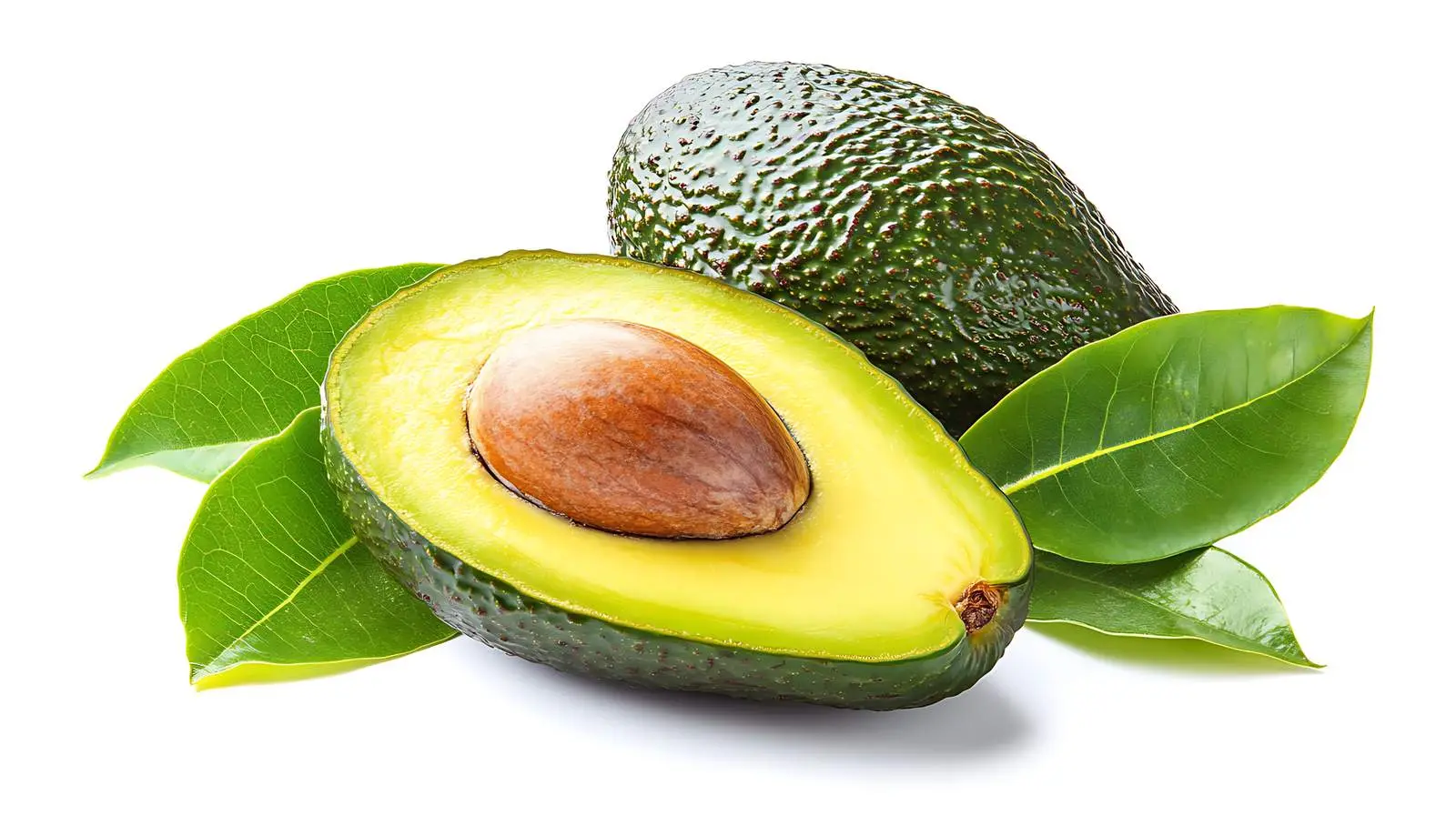 Organic Avocado Isolated on White Background — free download from Dotvec