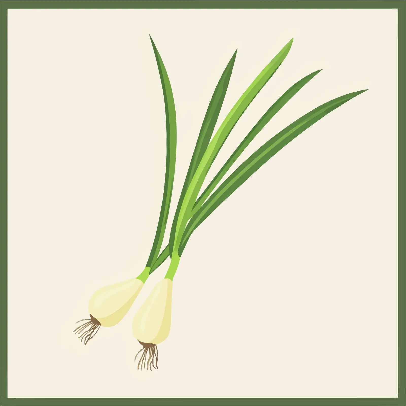 Fresh Spring Onion Gourmet Healthy Meal Vector – free gourmet meal image from Dotvec