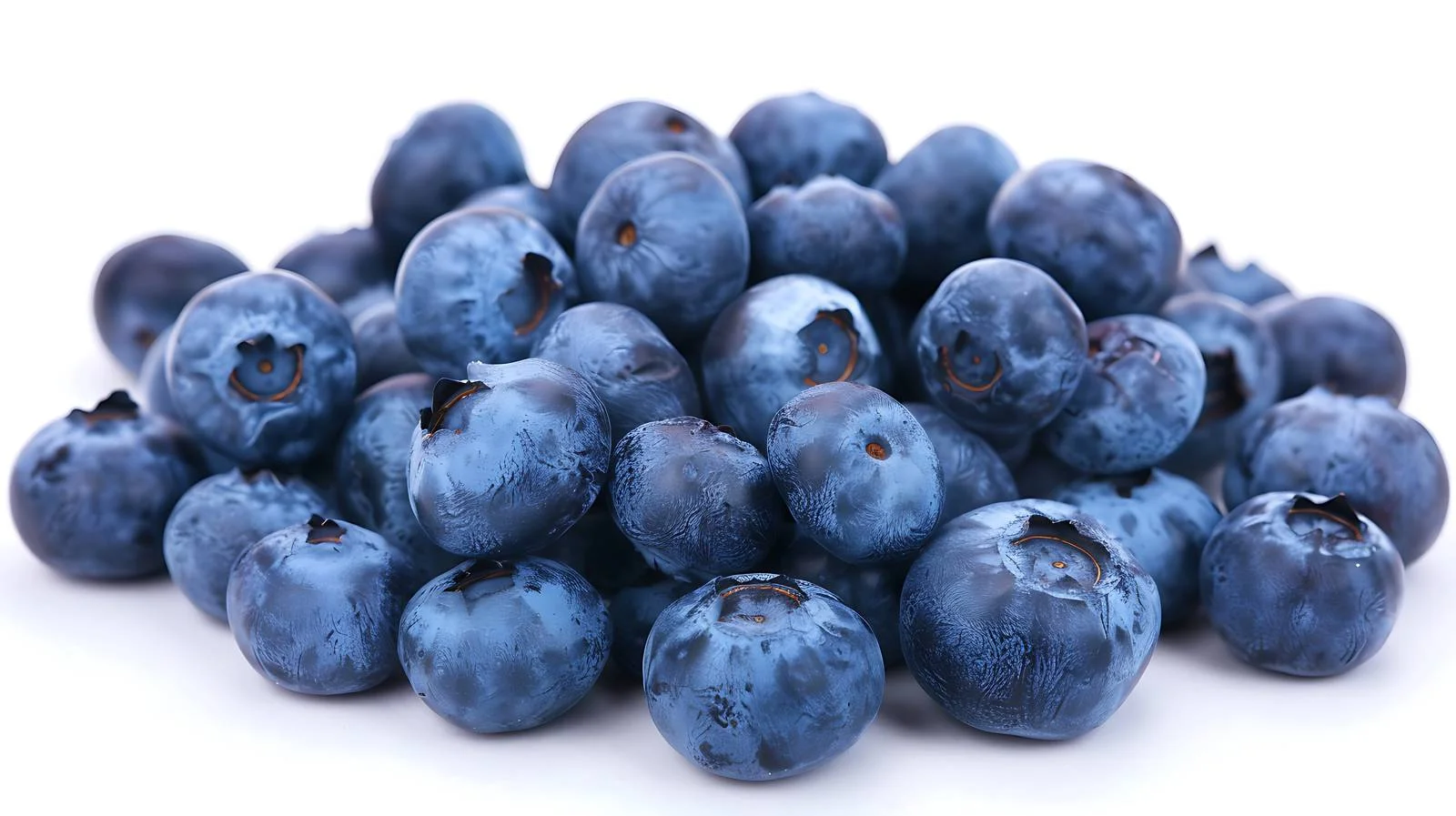 Vibrant Blueberries on White Background — free download from Dotvec