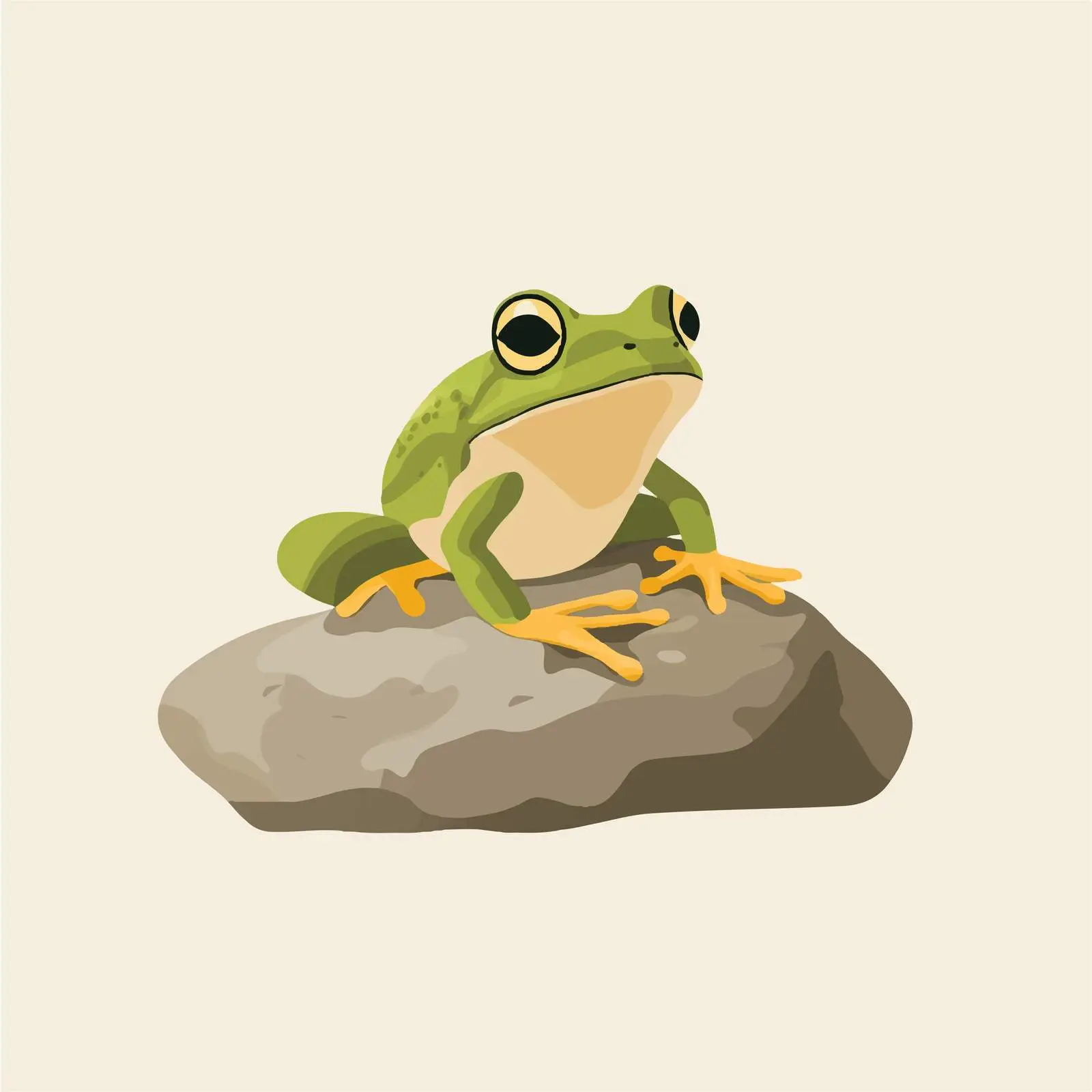 Frog Sitting on a Rock Vector Illustration — free download from Dotvec