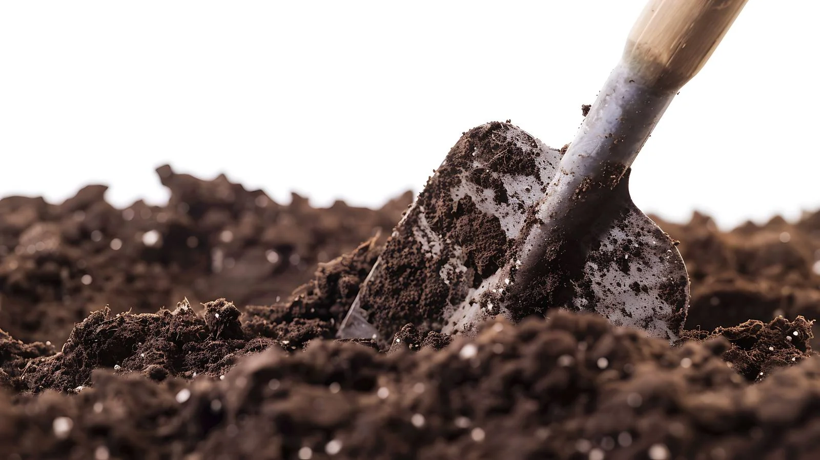 Gardening: Digging Holes with Spades — free download from Dotvec