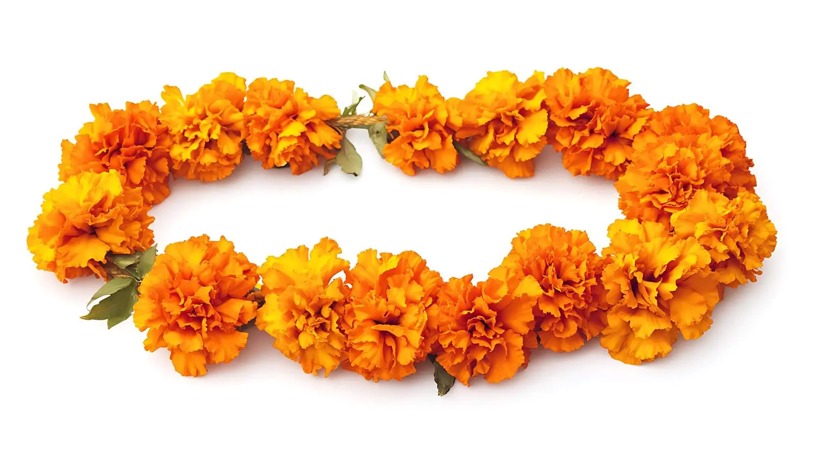 Marigold Flower Garland for Indian Festivals — free download from Dotvec