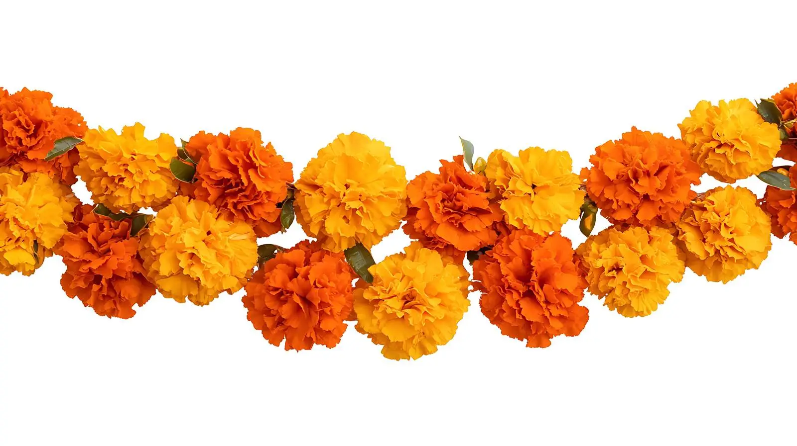 Traditional Marigold Garland India — free download from Dotvec
