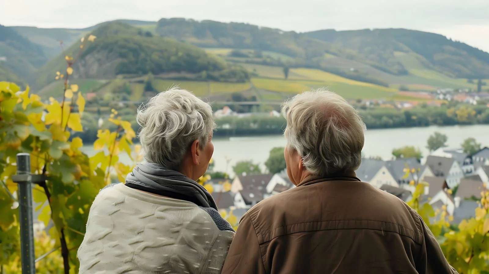 Senior Couple Admiring Rheingau View — free download from Dotvec