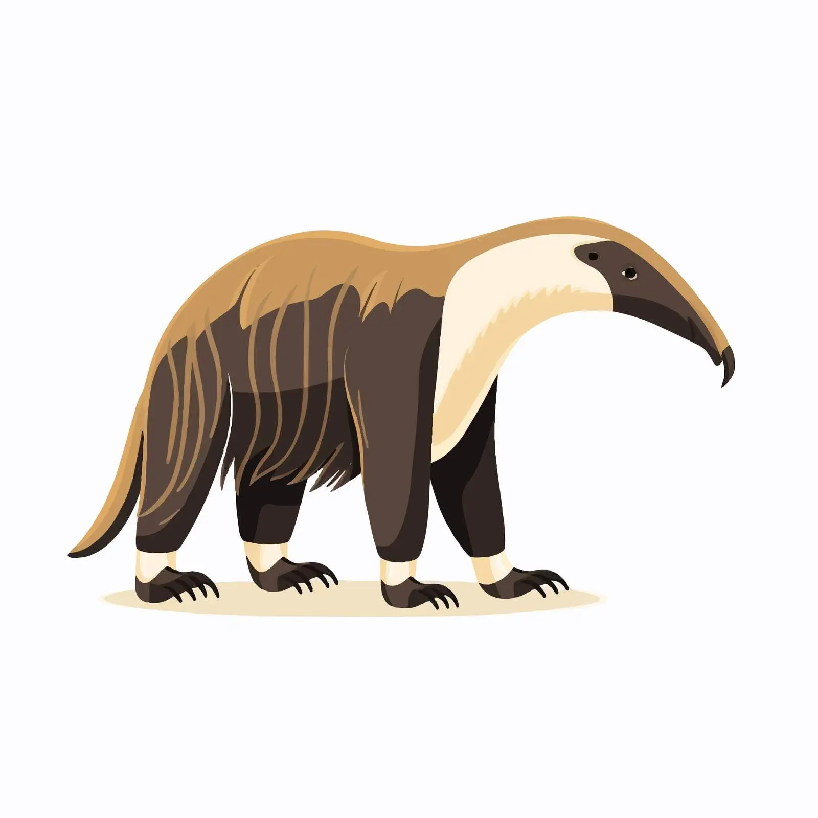 Giant Anteater Walking in Brazilian Habitat — free download from Dotvec