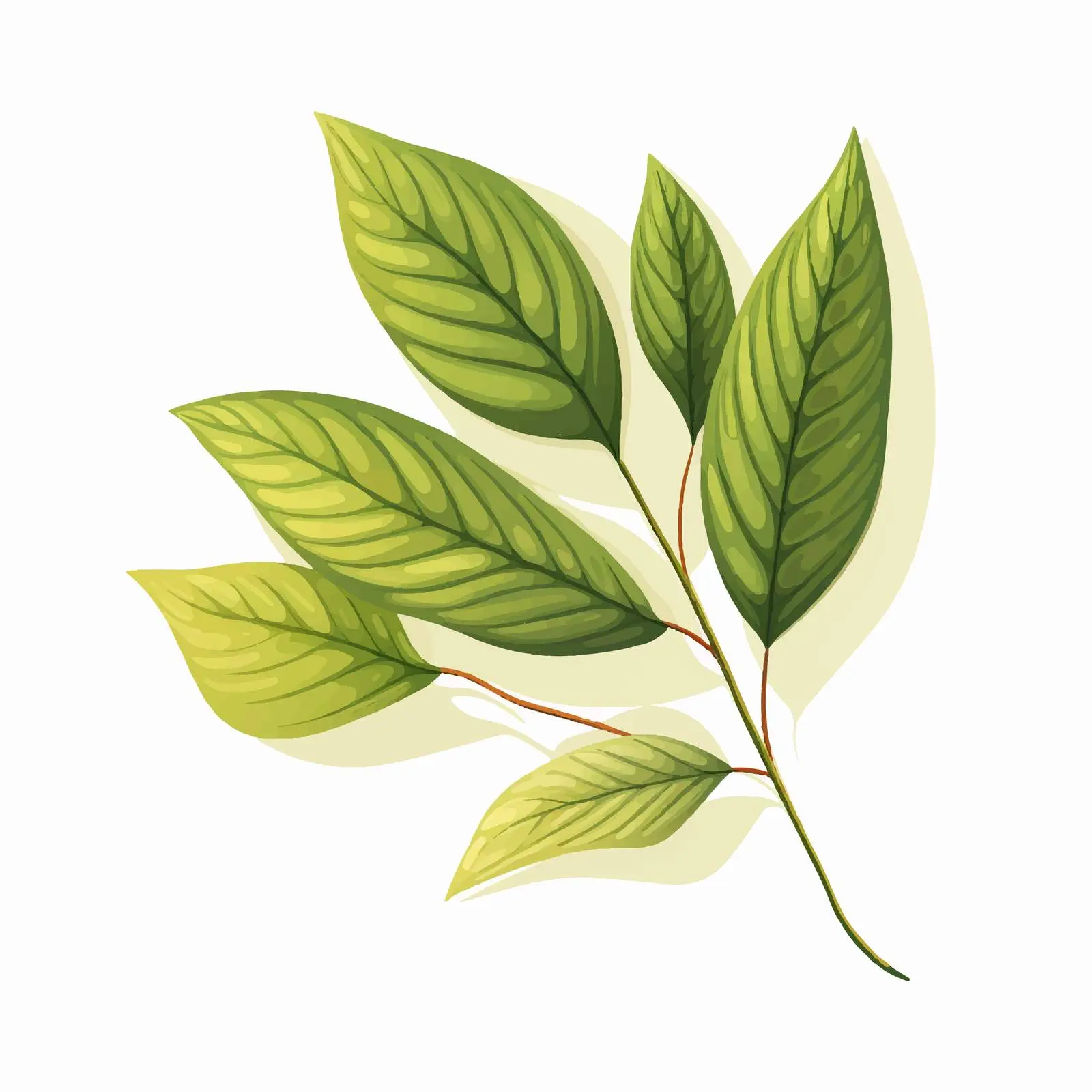 Glass Bottle of Becherovka Czech Liqueur – free festive drink image from Dotvec