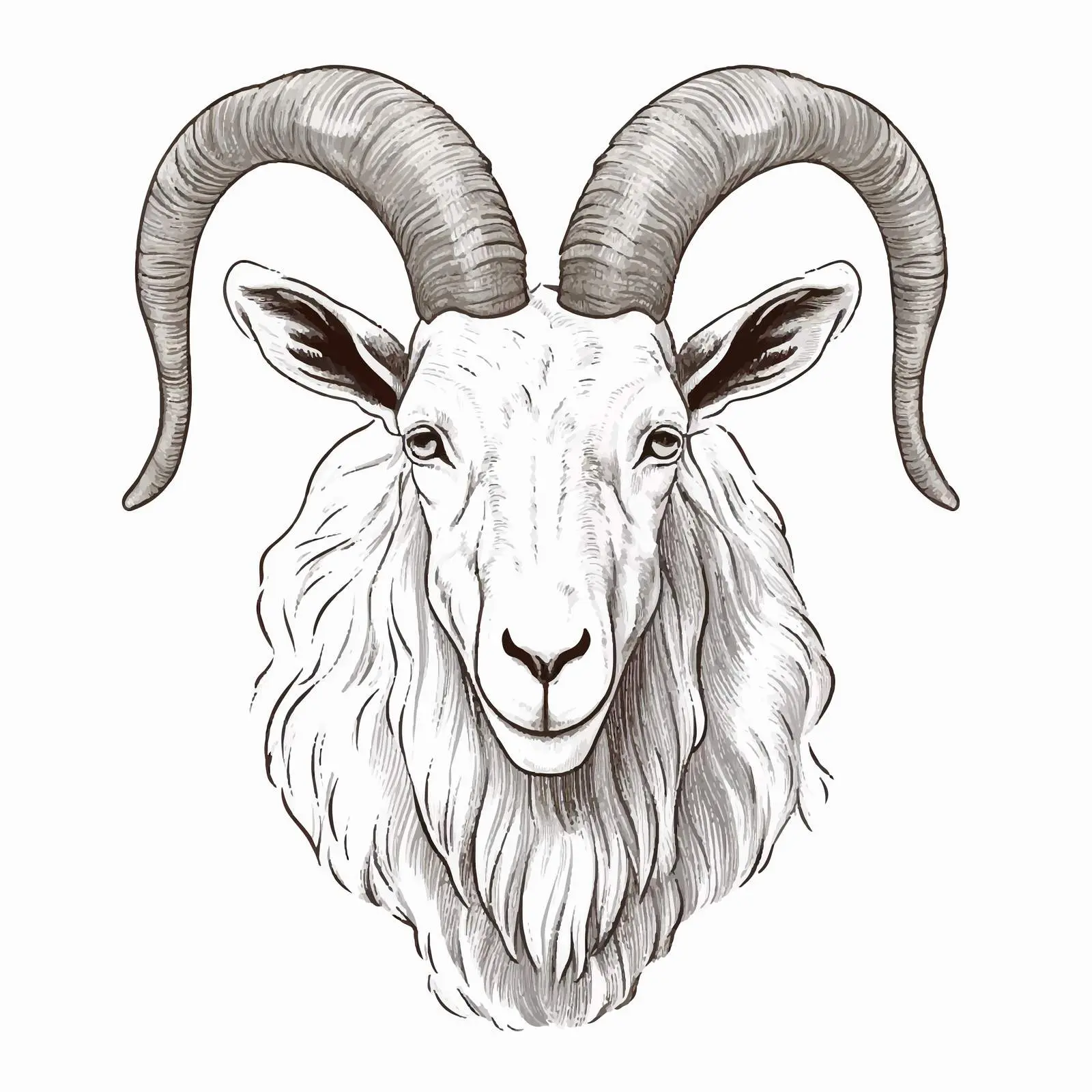 Goat Vector Illustration on White Background — free download from Dotvec