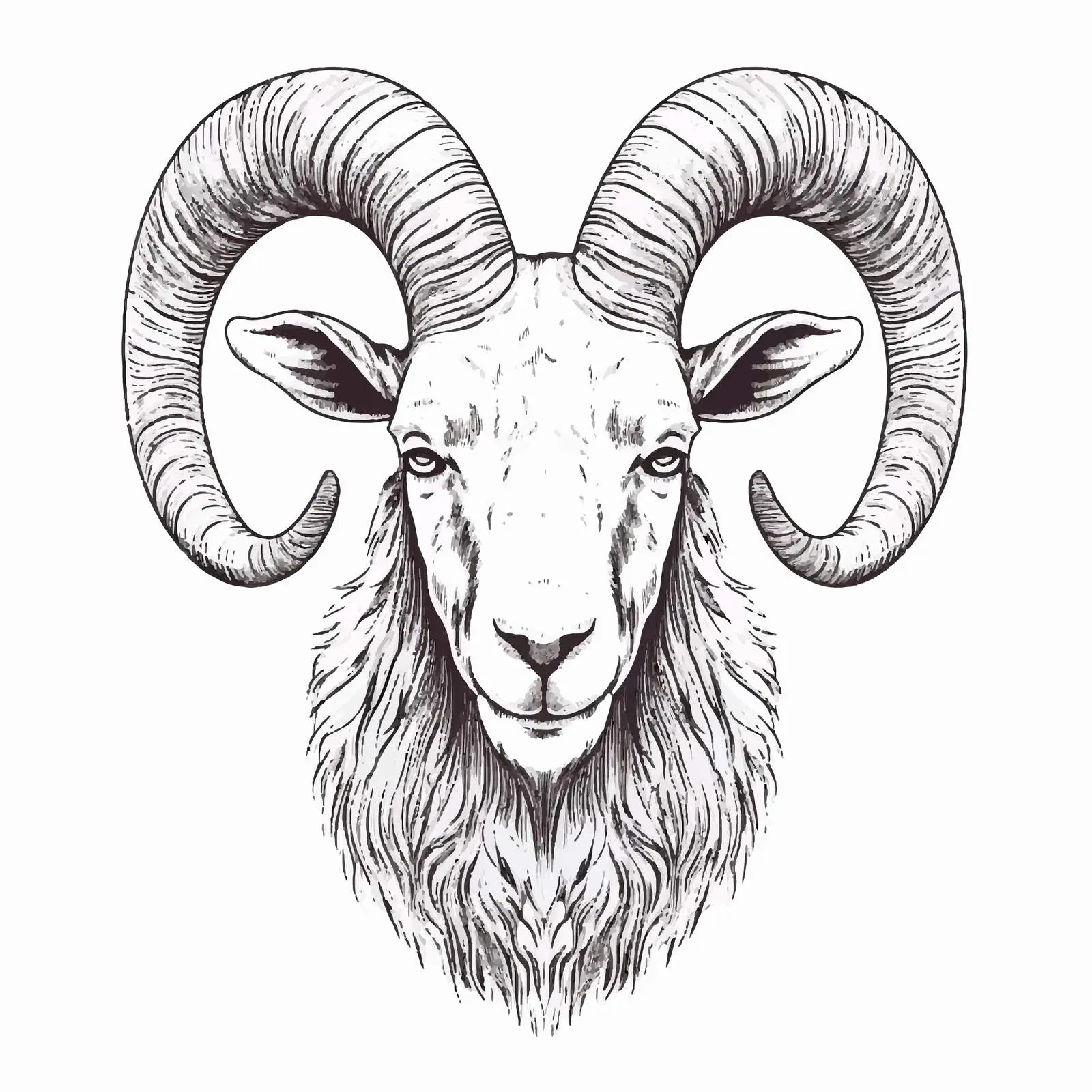 Goat Sketch Vector Illustration on White Background — free download from Dotvec