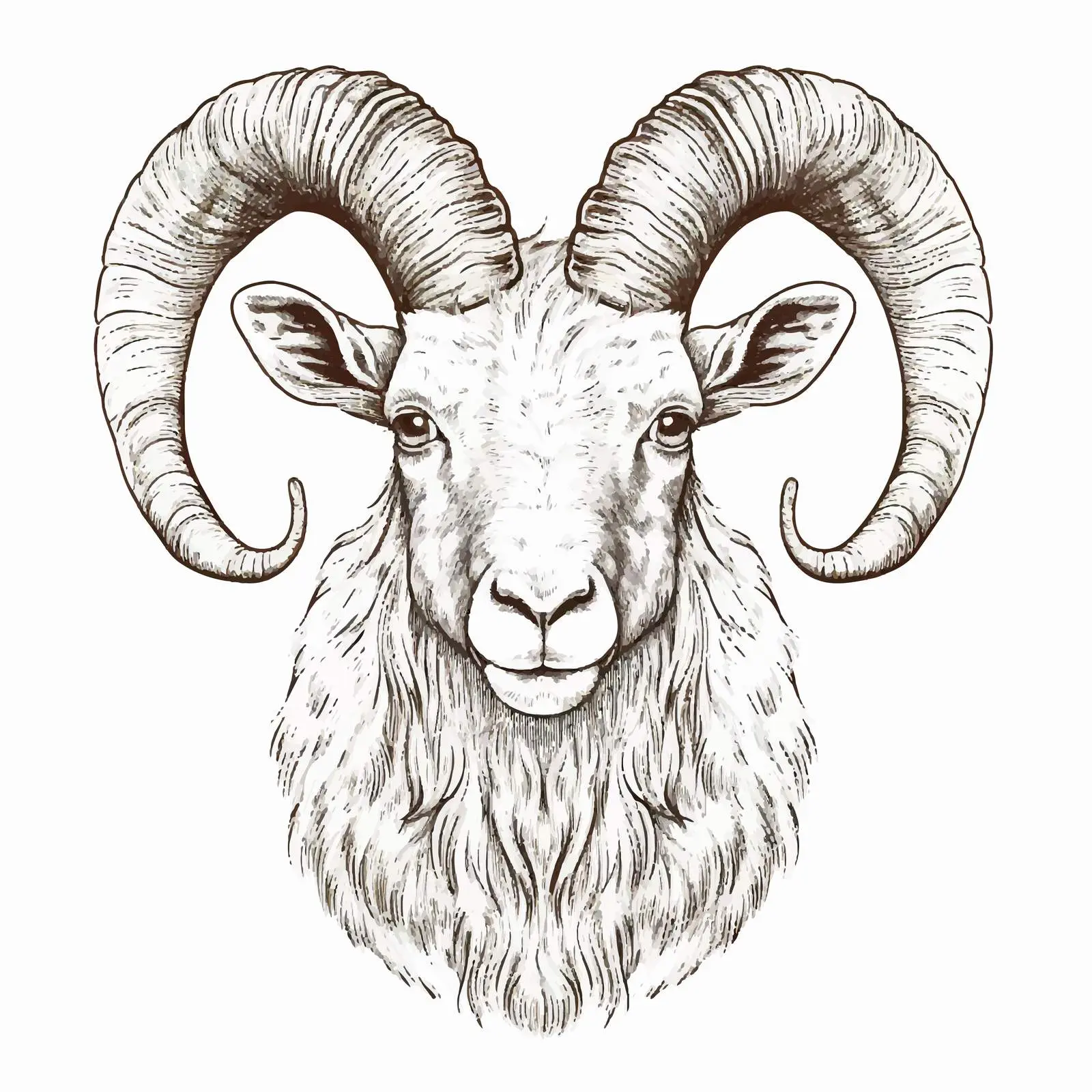 Goat Sketch Vector Illustration on White Background — free download from Dotvec