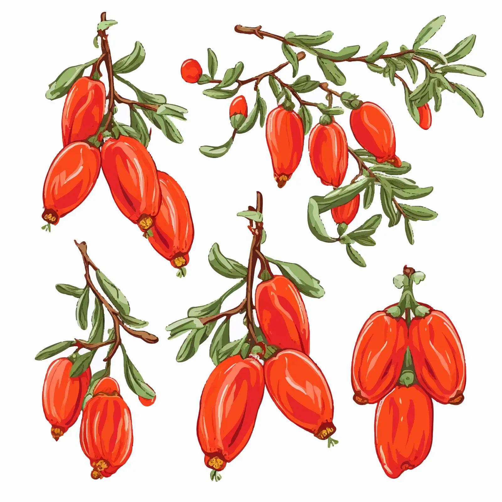 Hand-Drawn Goji Berries on Branch Illustration — free download from Dotvec