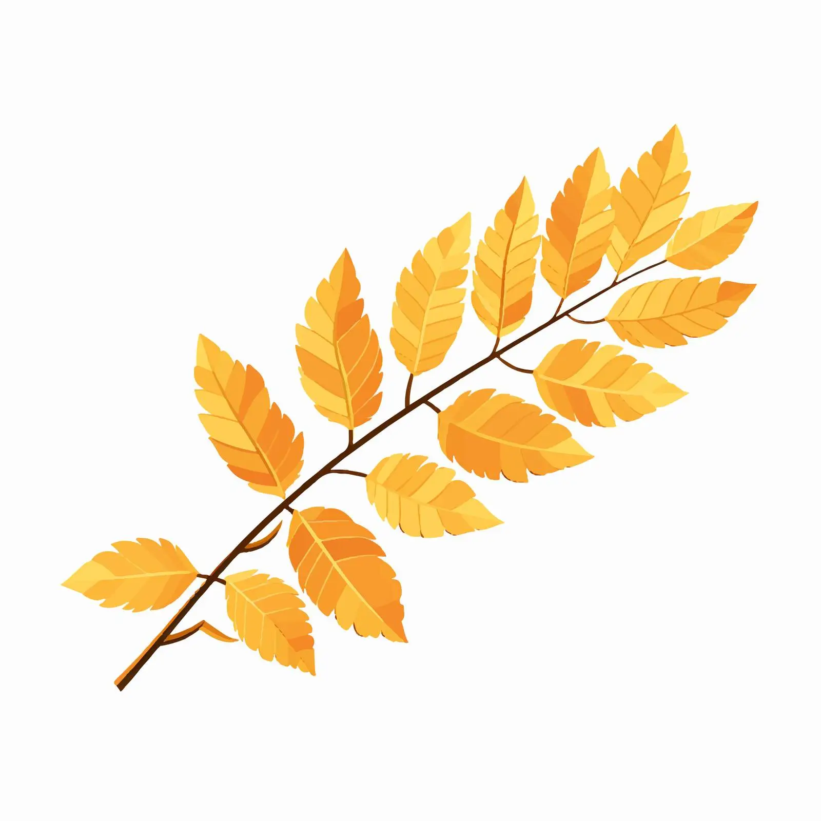 Golden Autumn Leaves on Ash Tree Branch — free download from Dotvec