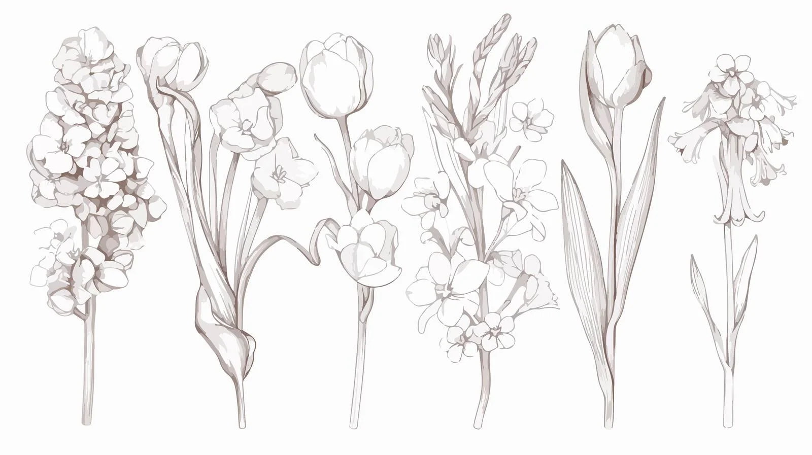 Elegant Botanical Illustrations of Spring Blooms — free download from Dotvec