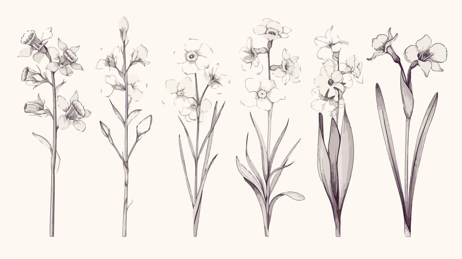 Exquisite Spring Floral Illustrations — free download from Dotvec