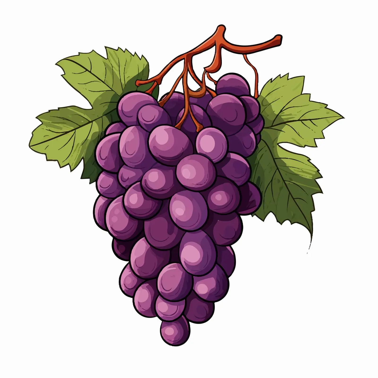 Grape Line Vector Illustration on White Background – free grape image from Dotvec
