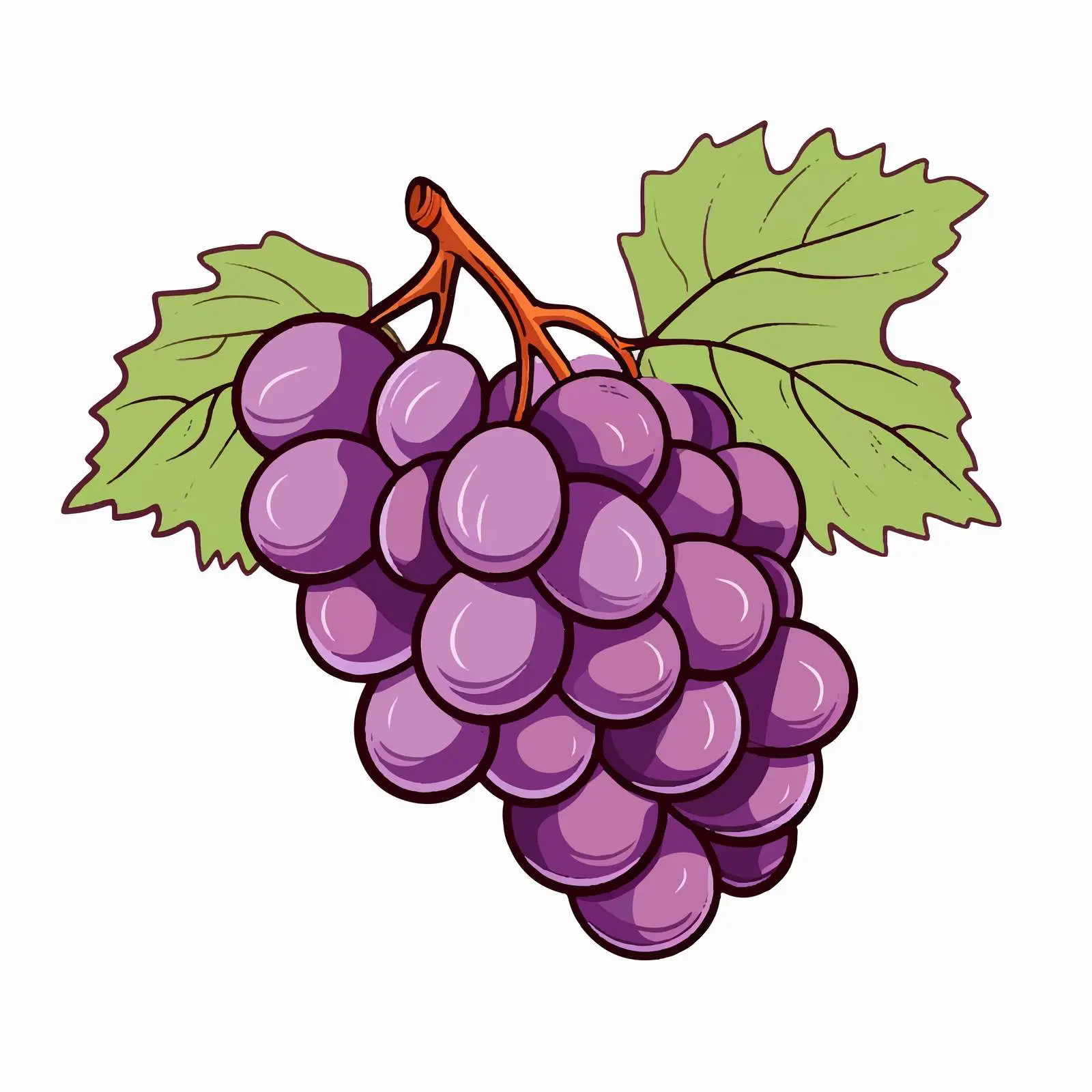 Grape Outline Vector Illustration on White Background – free grape image from Dotvec