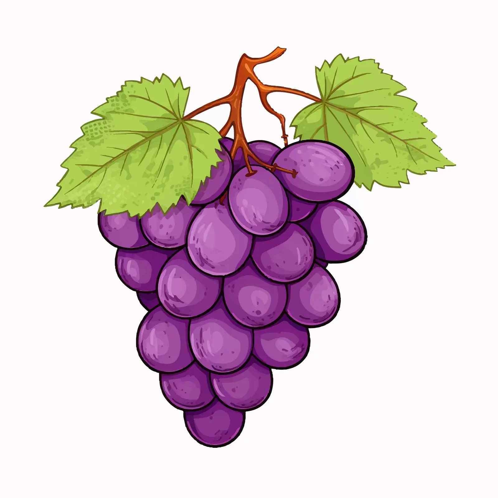 Grape Outline Vector Illustration on White Background – free grape image from Dotvec