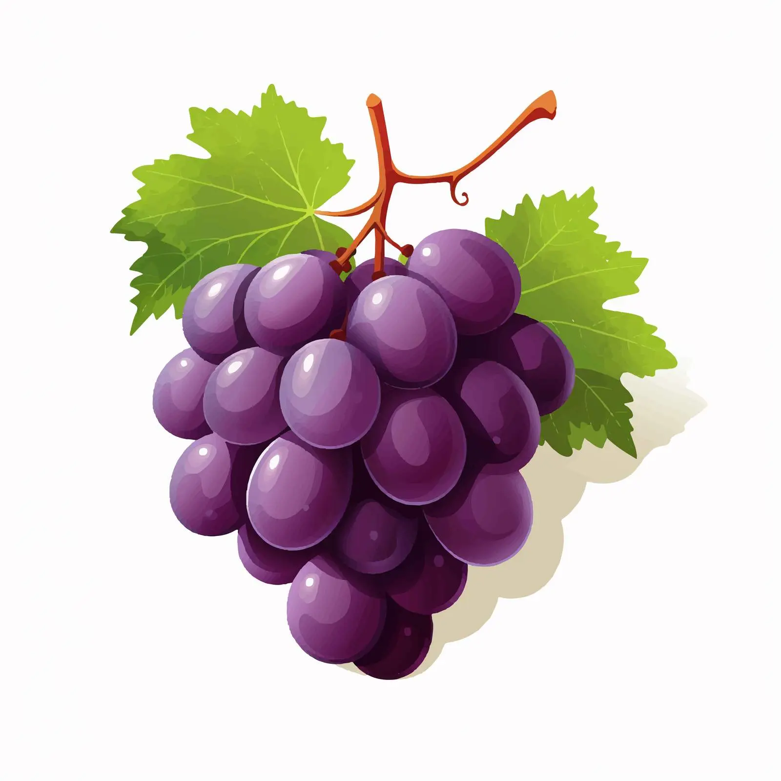 Top View Grape Vector Illustration on White Background – free grape image from Dotvec