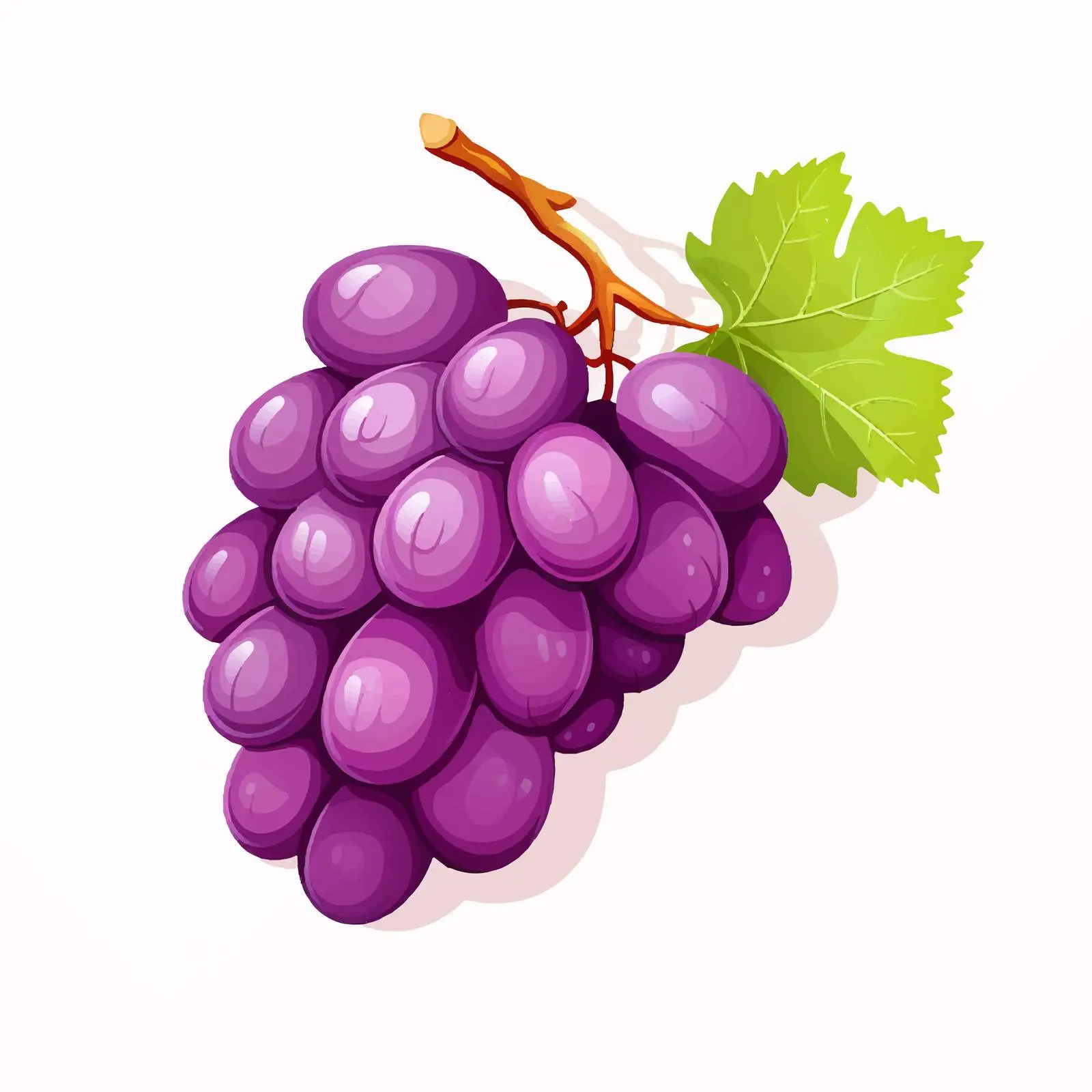 Grape Vector Illustration on White Background – free grape image from Dotvec