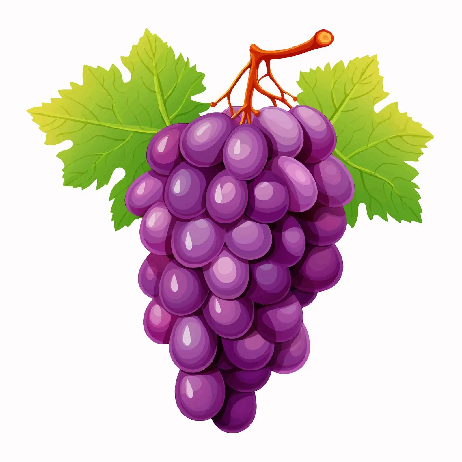 Top View Grape Vector Illustration on White Background – free grape image from Dotvec