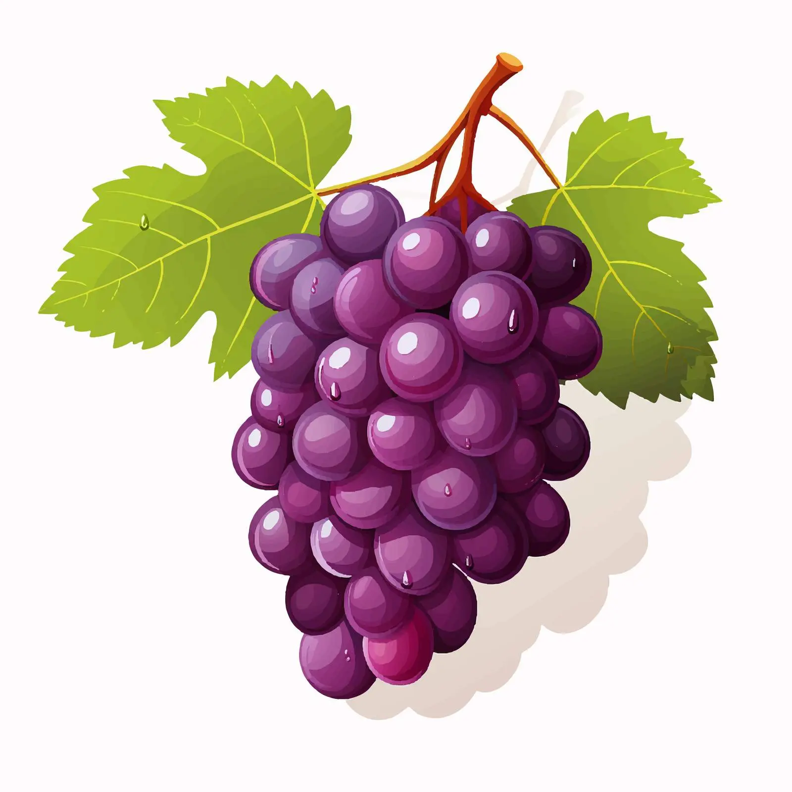 Grapes Vector Illustration on White Background – free grape image from Dotvec