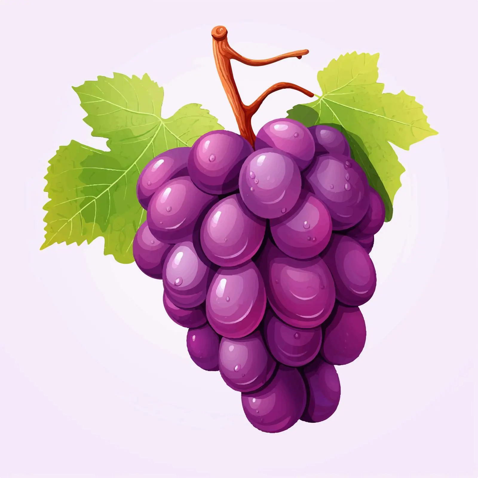 Top View Grapes Vector Illustration on White Background – free grape image from Dotvec