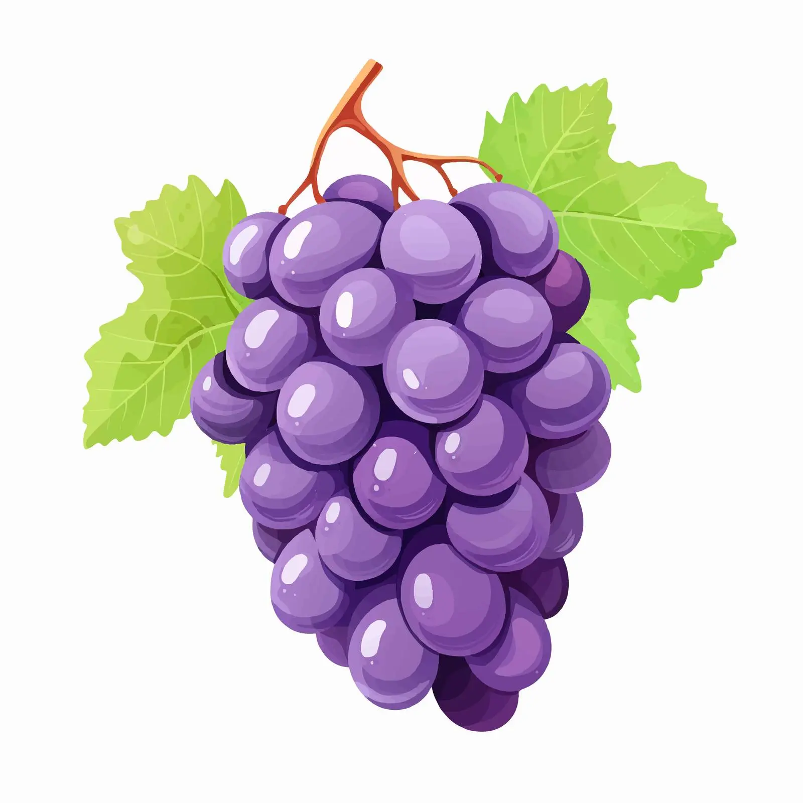 Top View Vector Illustration of Grapes – free grape image from Dotvec