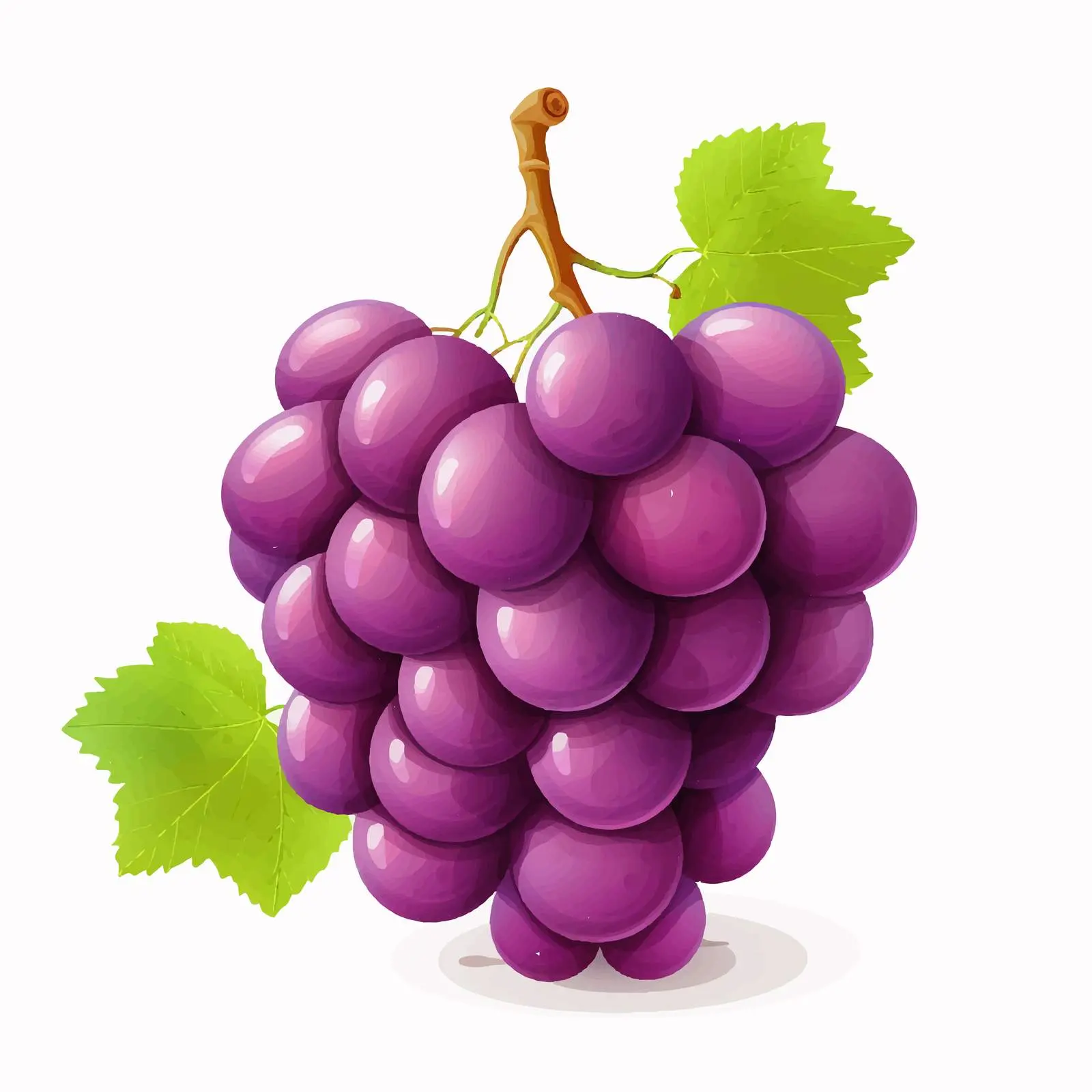 Isolated Grapes Vector Illustration on White Background – free grape image from Dotvec