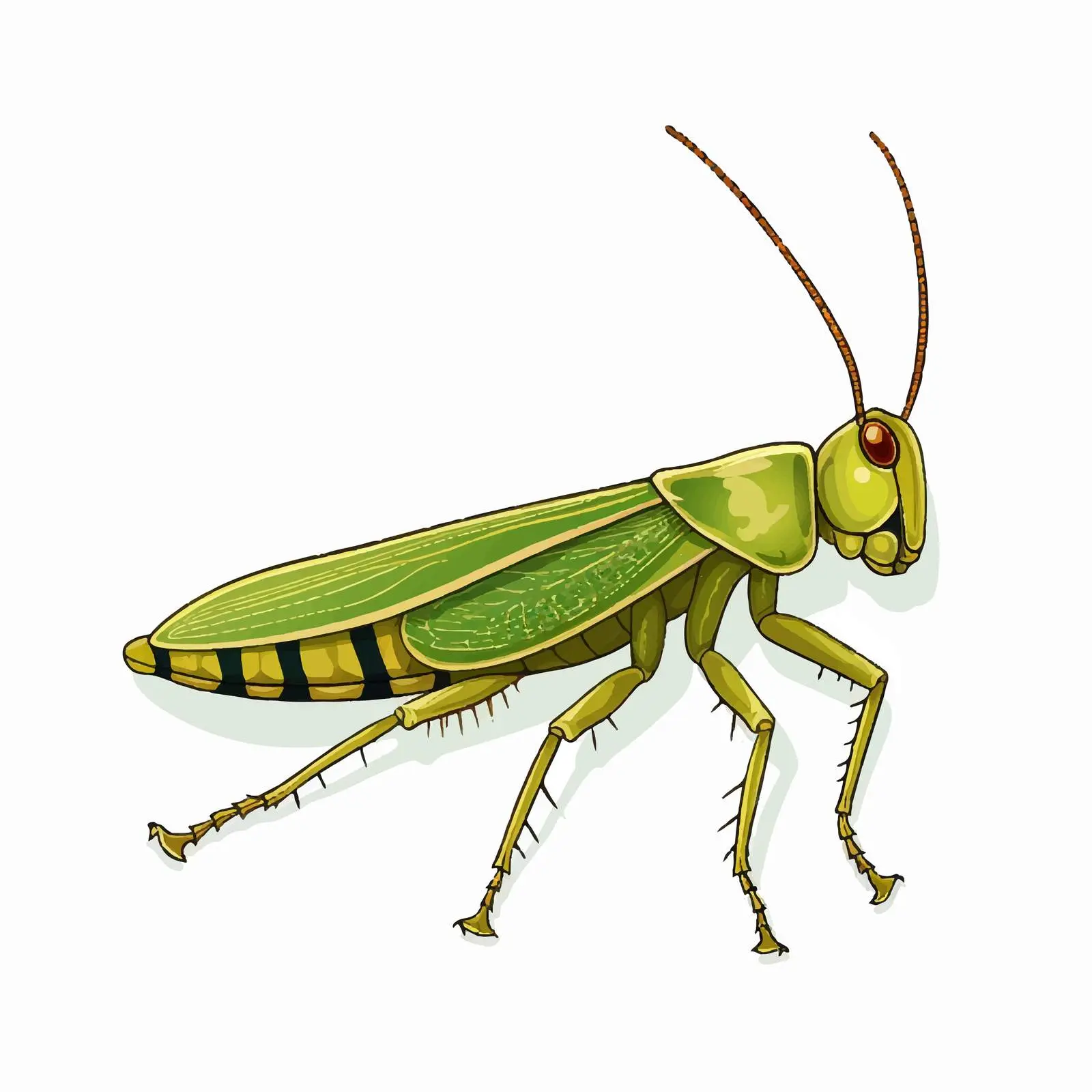 Grasshopper Outline Illustration on White Background – free grasshopper image from Dotvec