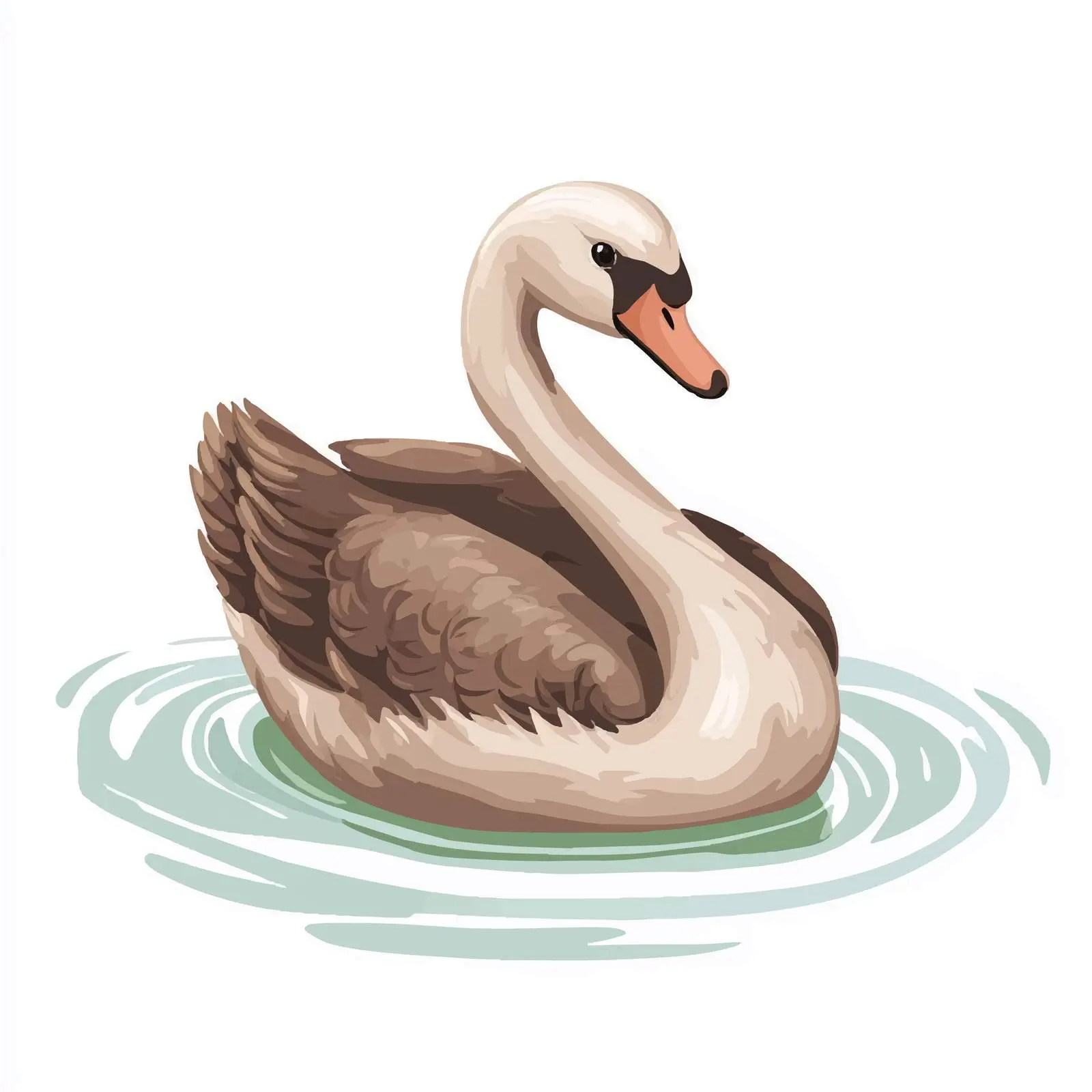 Little Gray Brown Swan on a Tranquil Pond — free download from Dotvec