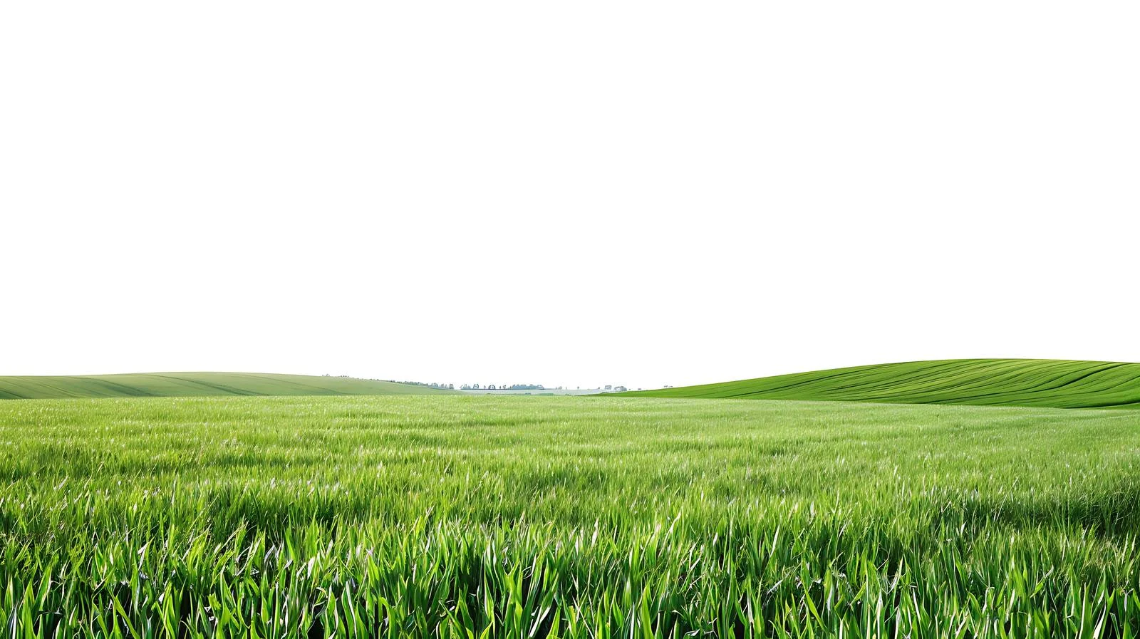 Serene Green Farmland against White Background — free download from Dotvec