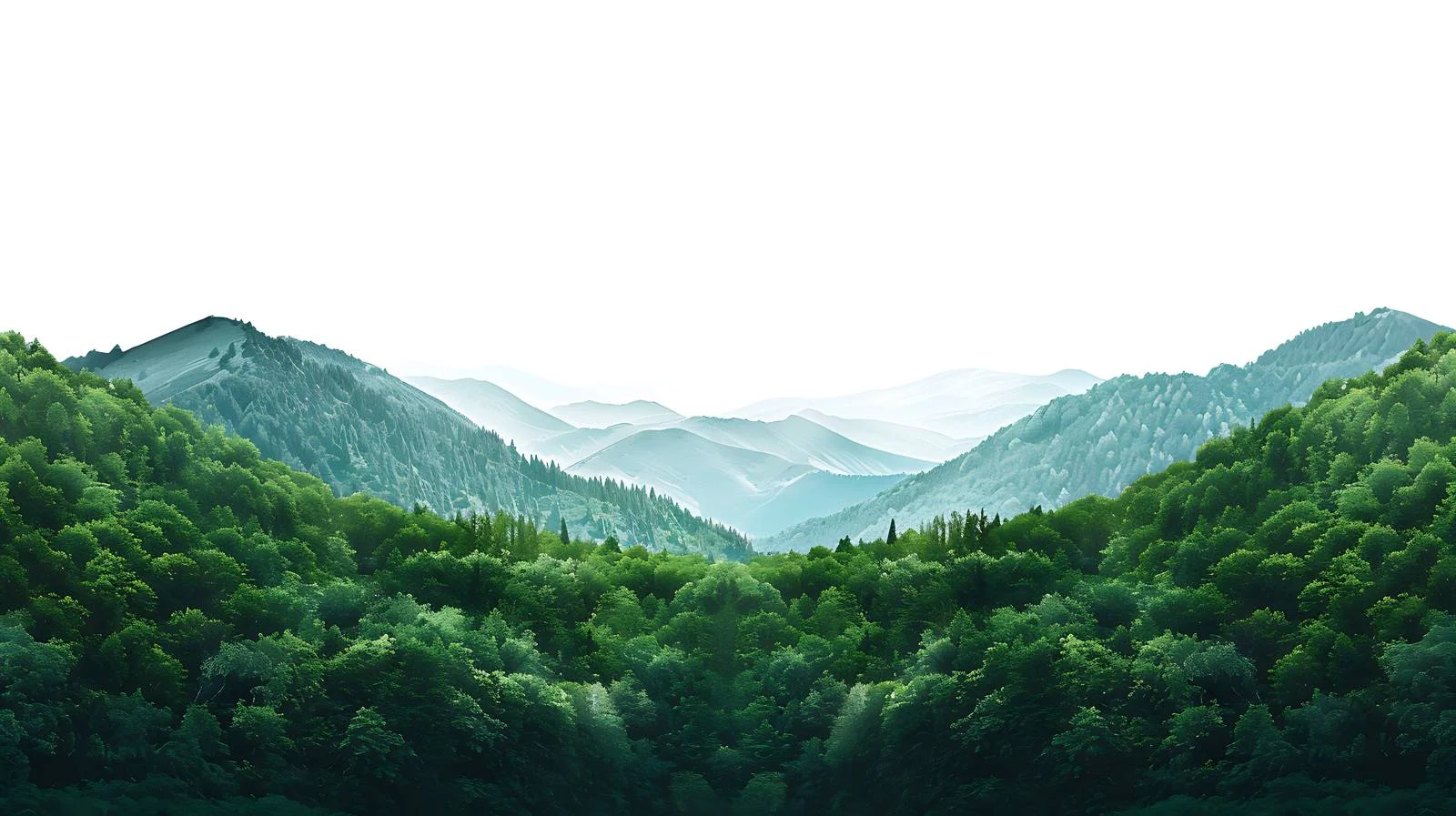 Serene Mountain Forest Panorama View — free download from Dotvec